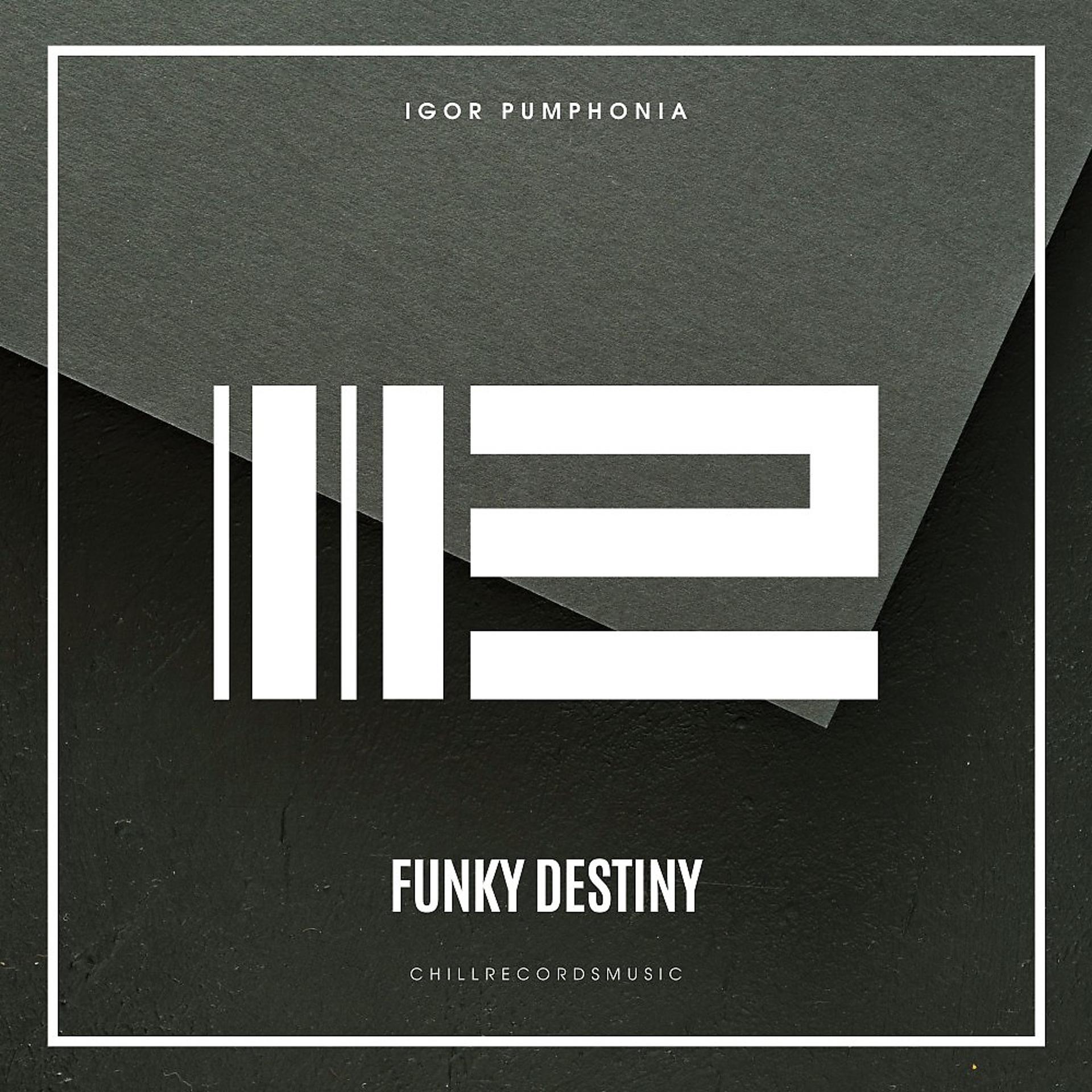 Постер альбома Funky Destiny