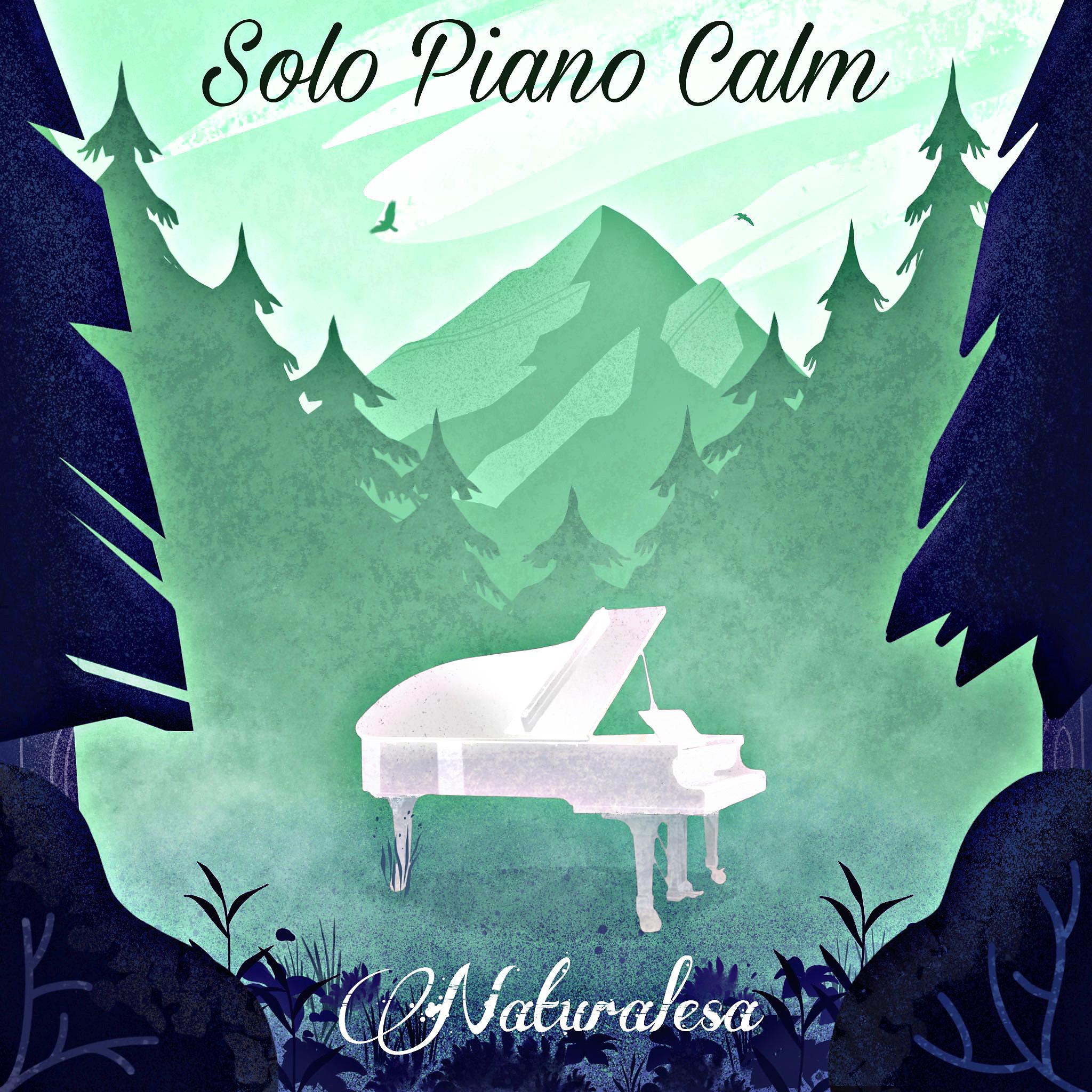 Постер альбома Solo Piano Calm