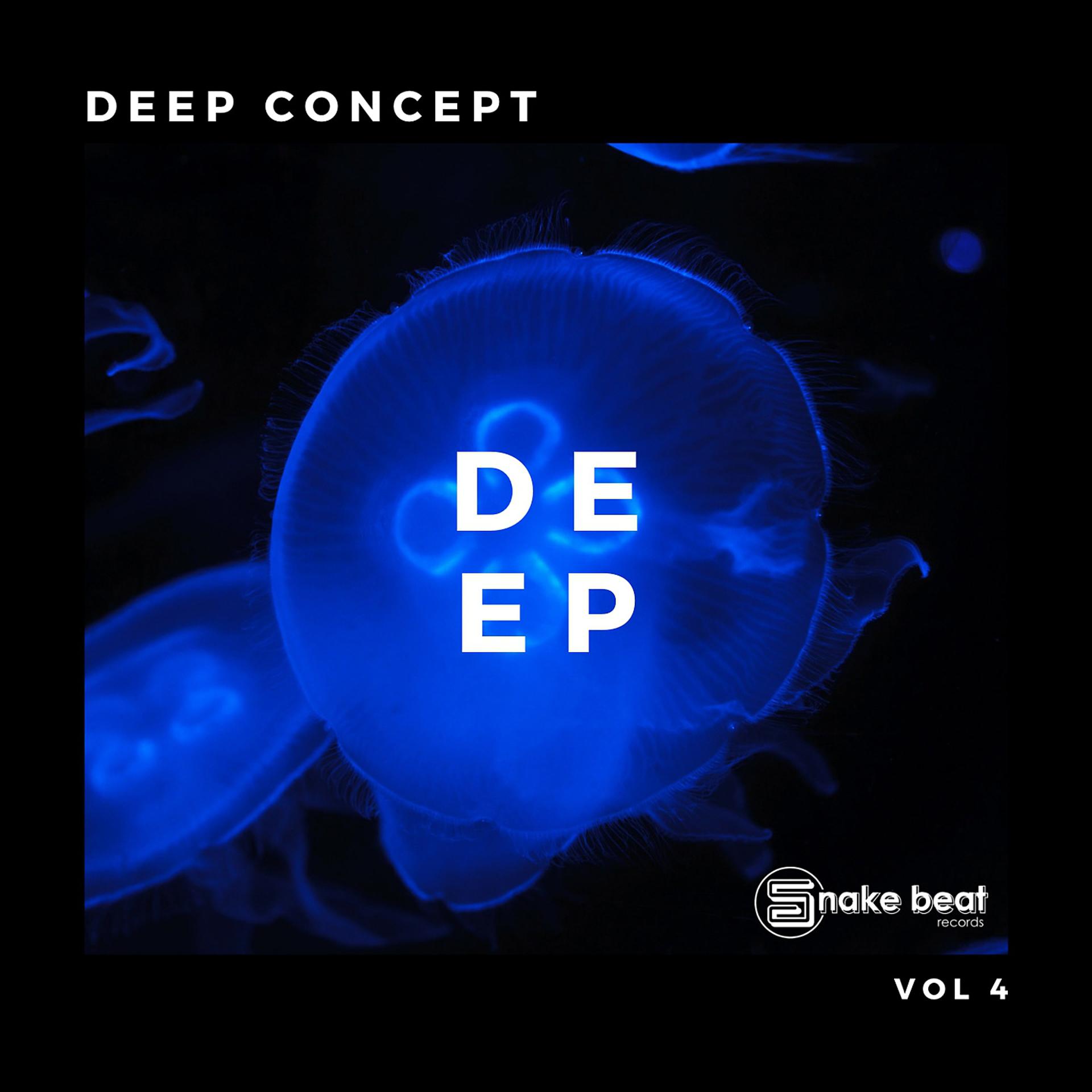 Постер альбома Deep Concept, Vol. 4