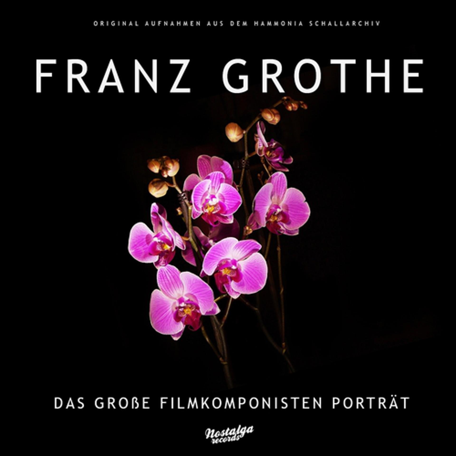 Постер альбома Das Große Filmkomponisten-Porträt