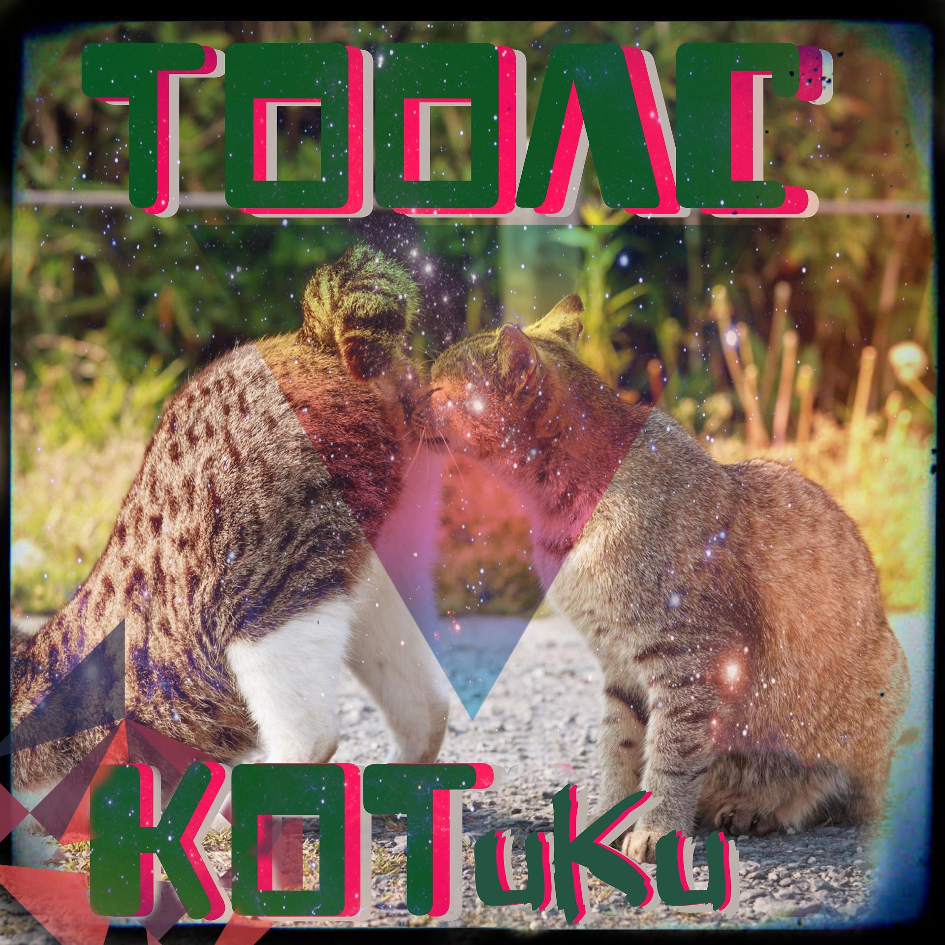 Постер альбома Котики