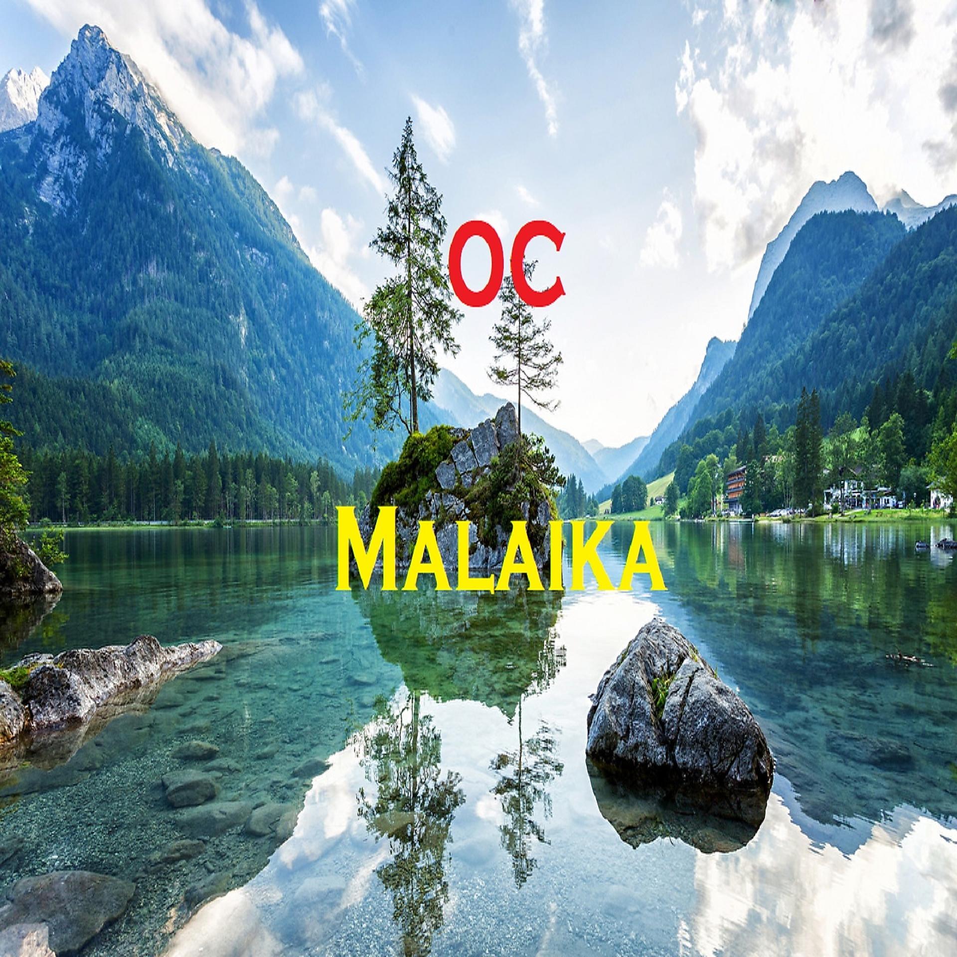 Постер альбома Malaika