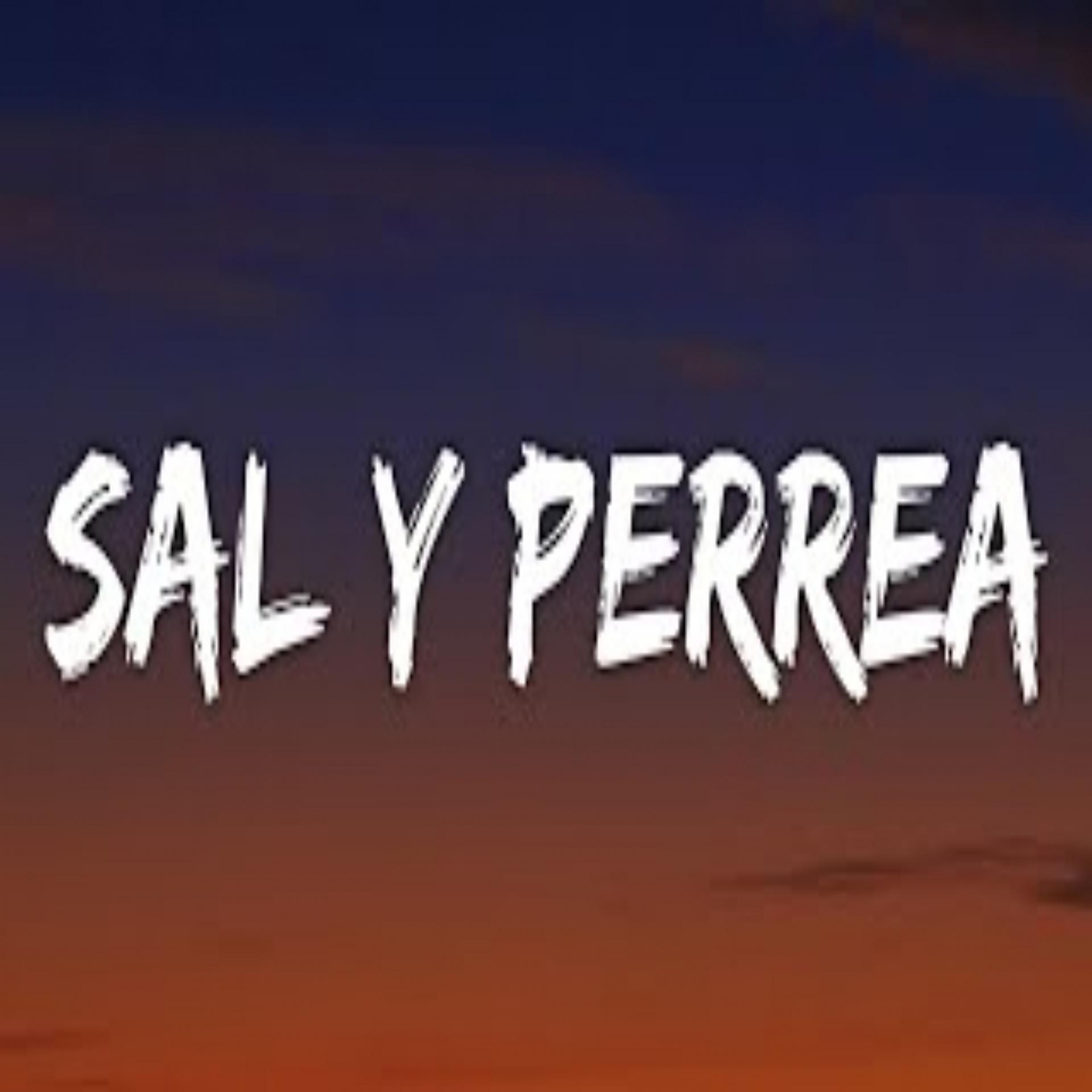 Постер альбома Sal Y Perrea