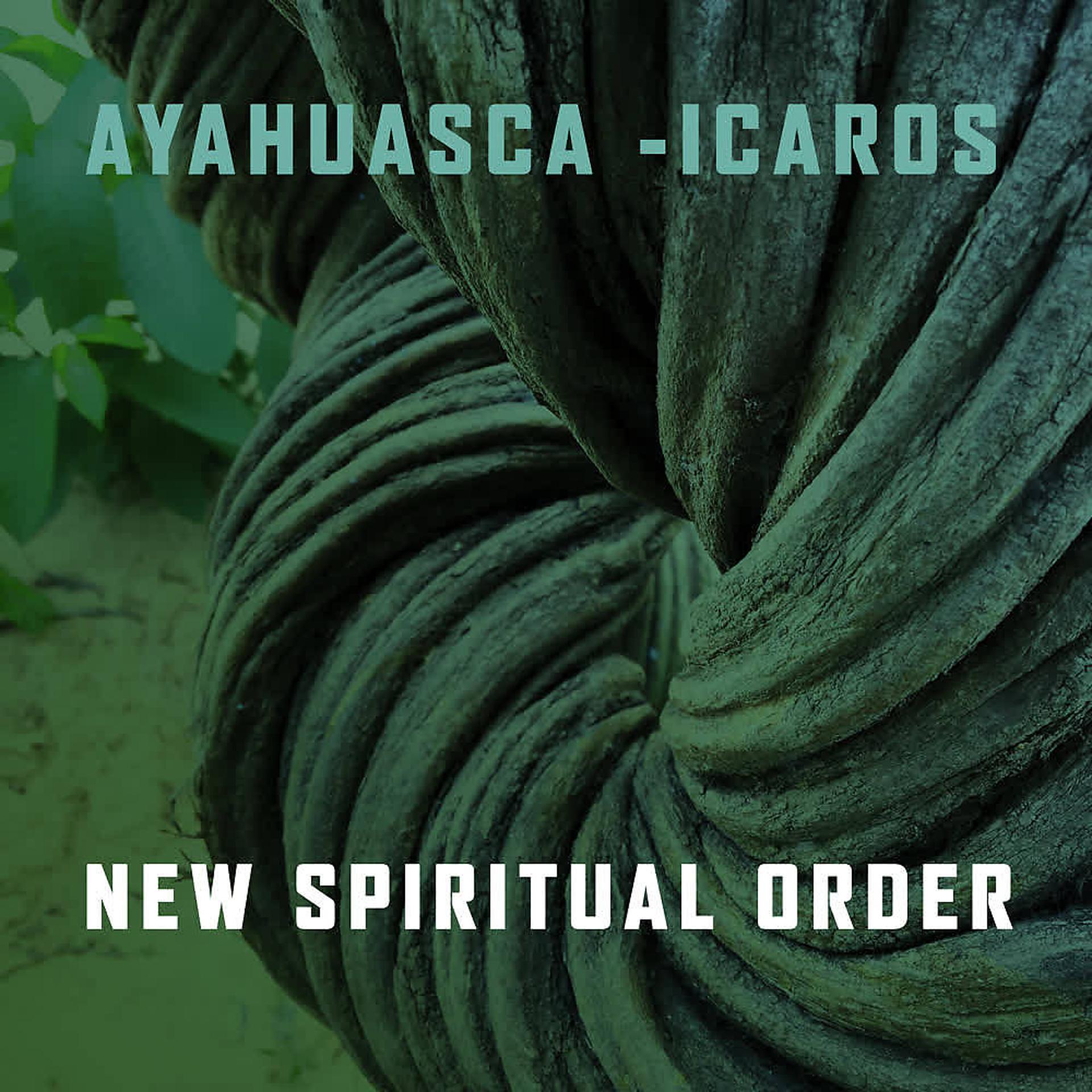 Постер альбома New Spiritual Order