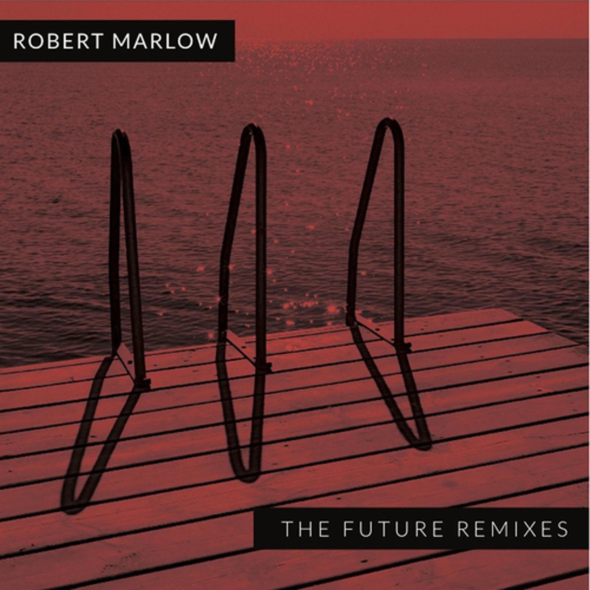 Постер альбома The Future Remixes