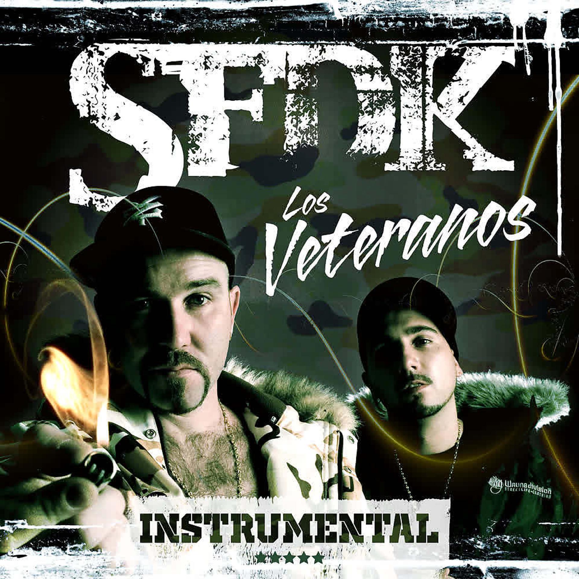Постер альбома Los Veteranos (Instrumentales)
