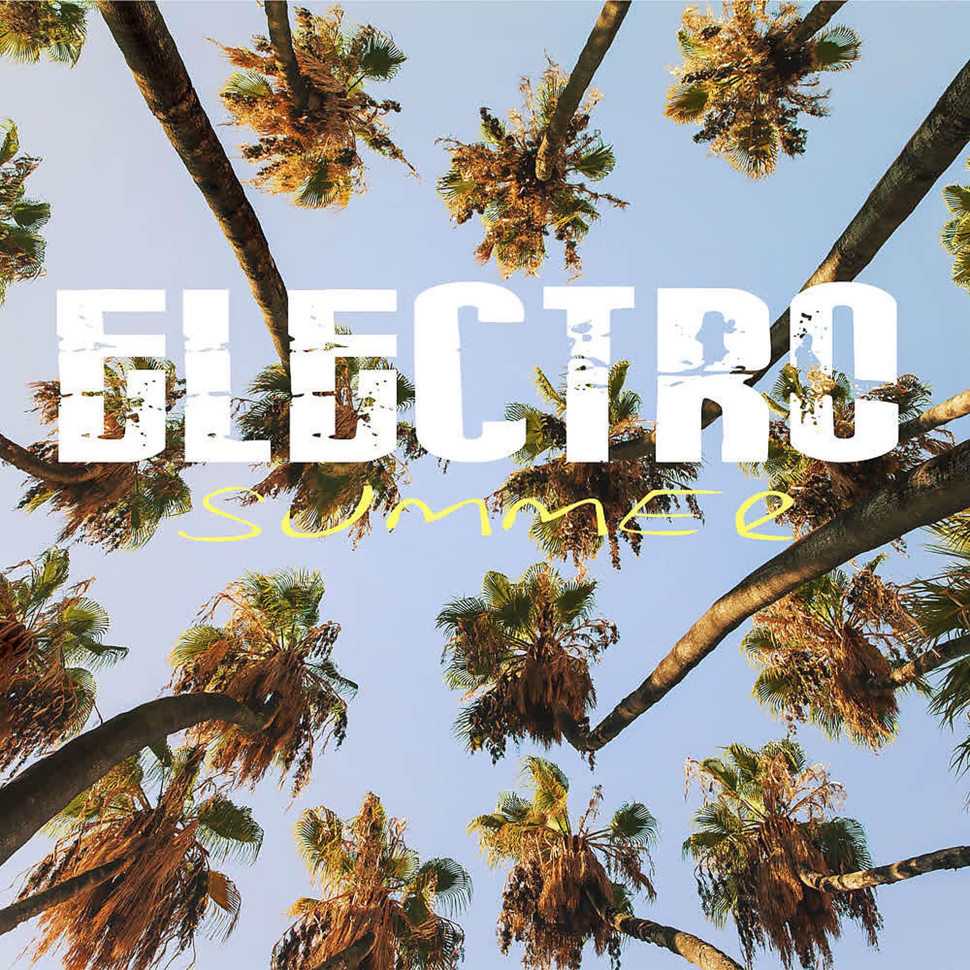 Постер альбома Electro Summer