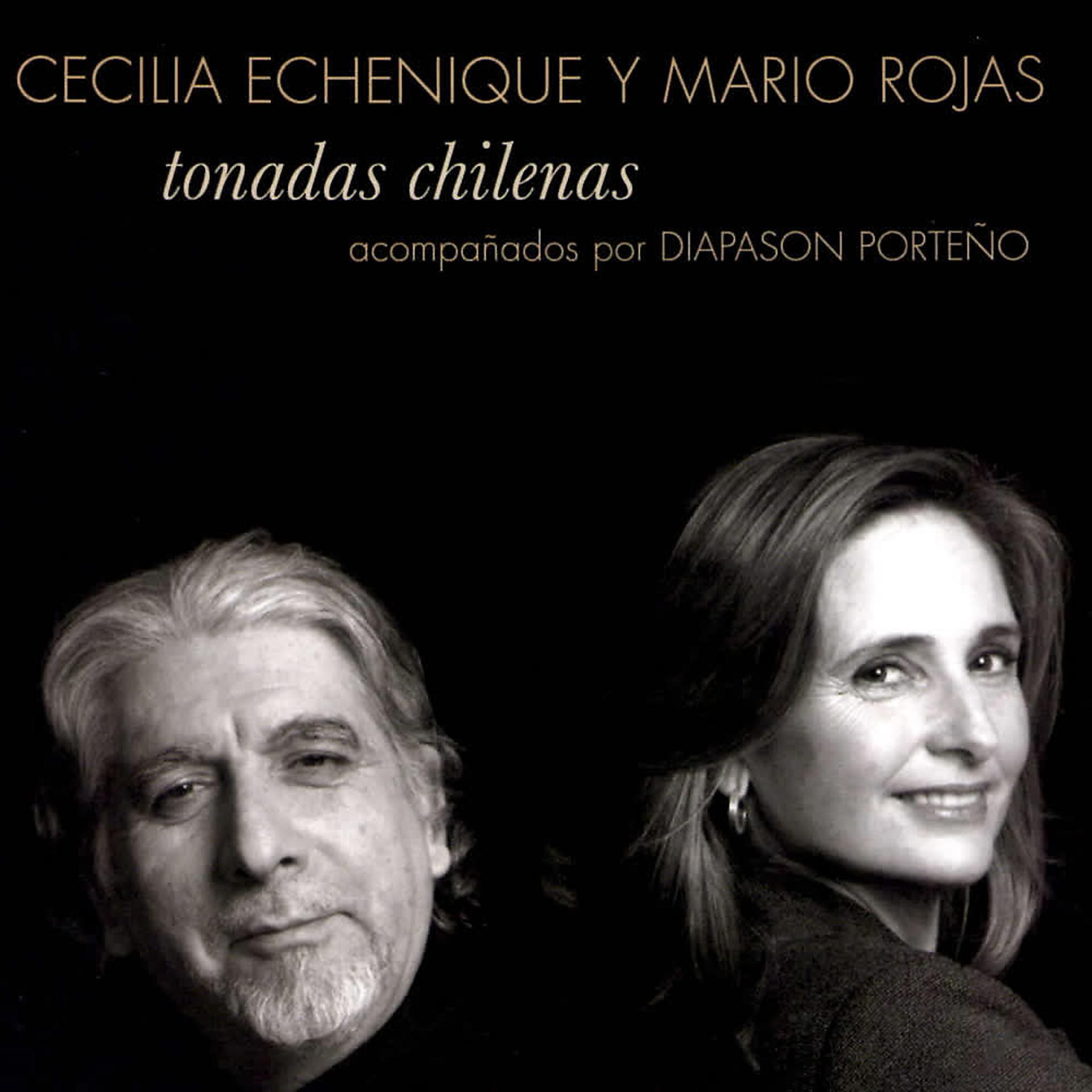 Постер альбома Tonadas Chilenas