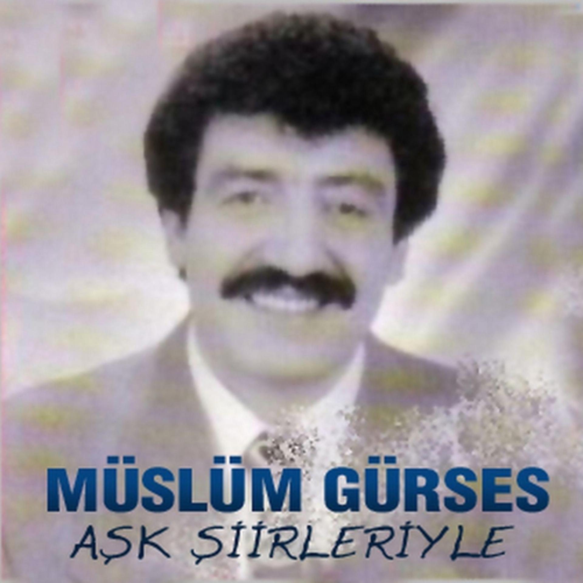 Постер альбома Aşk Şiirleriyle