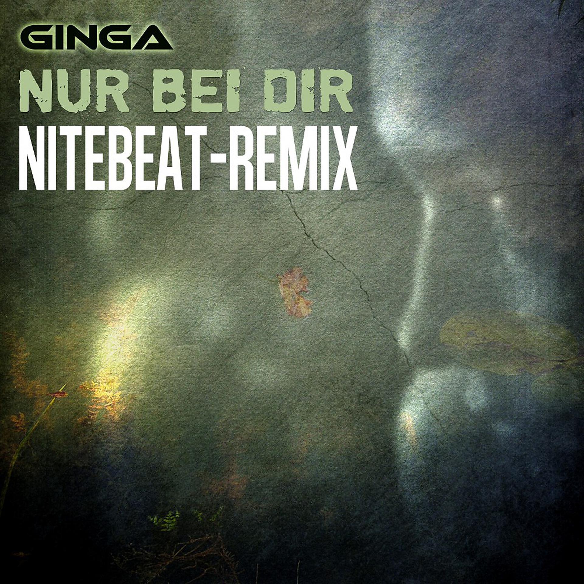 Постер альбома Nur bei Dir (Nitebeat Remix)