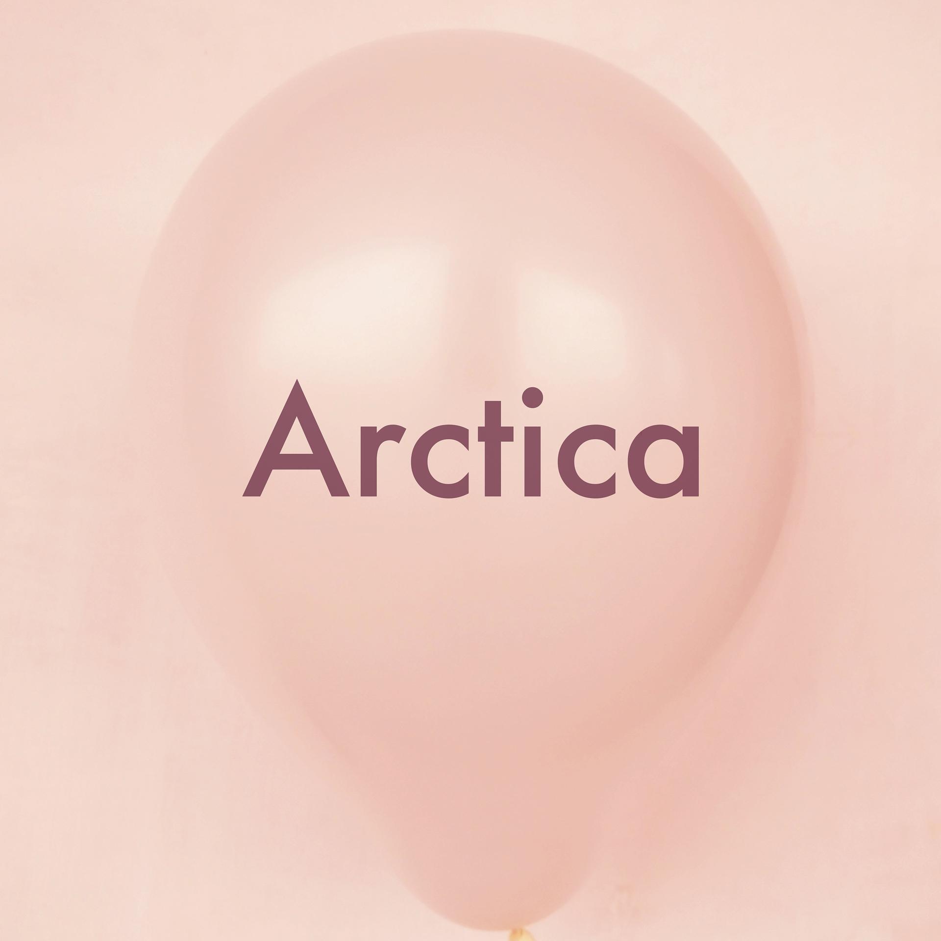 Постер альбома Arctica
