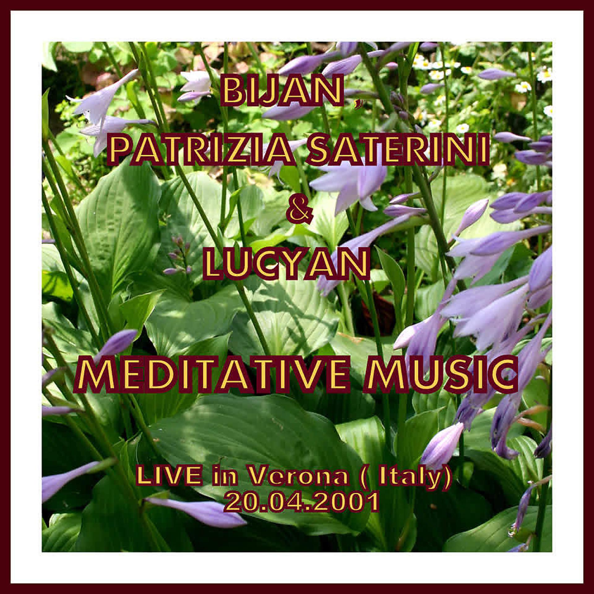 Постер альбома Meditative Music (Live in Verona)