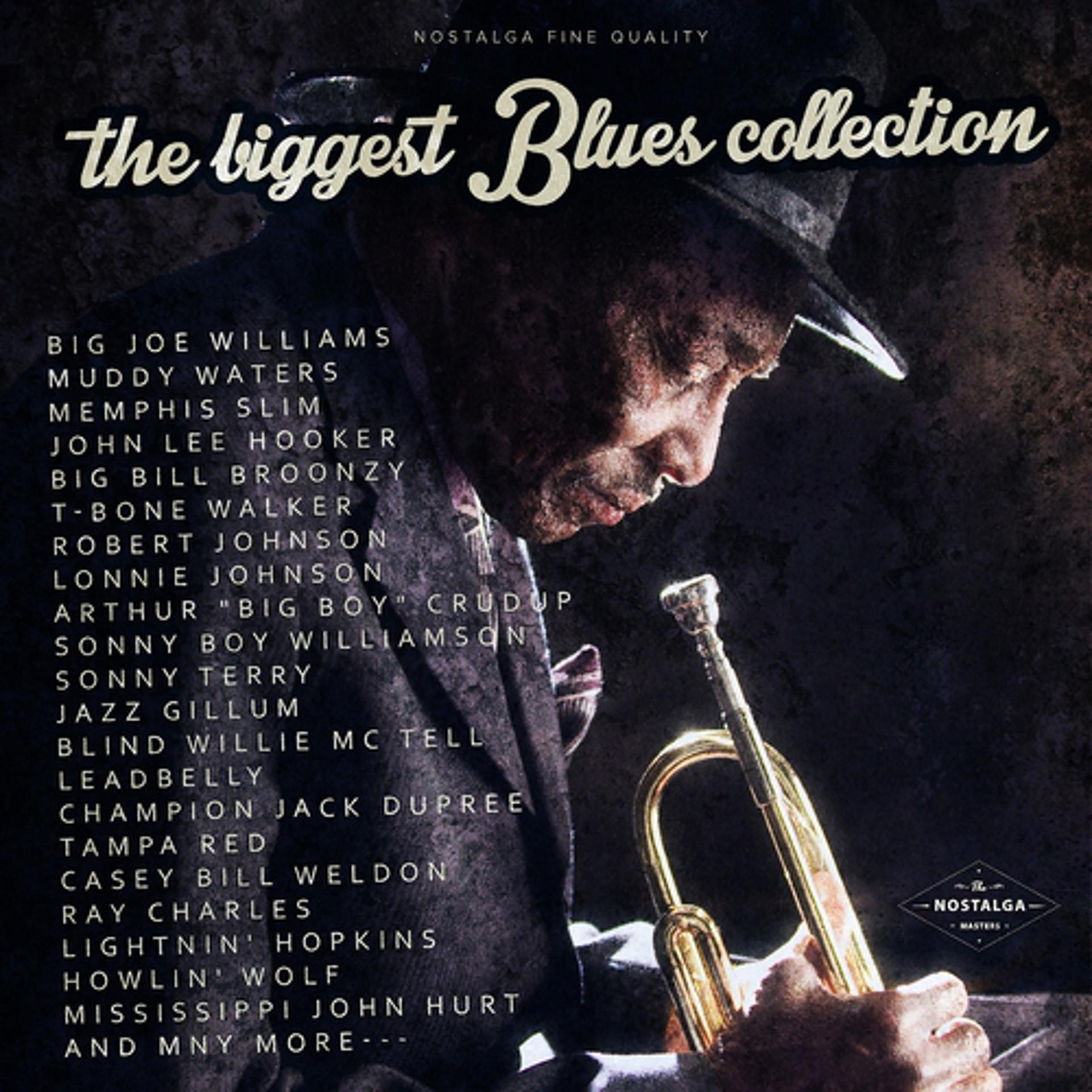 Постер альбома The Biggest Blues Collection