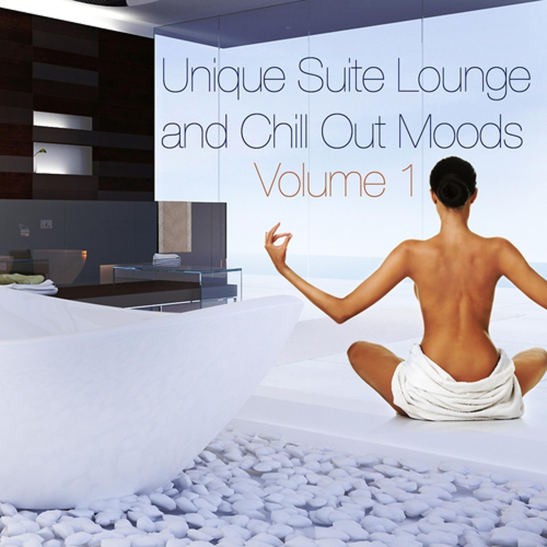 Постер альбома Unique Suite Lounge and Chill Out Moods, Vol. 1