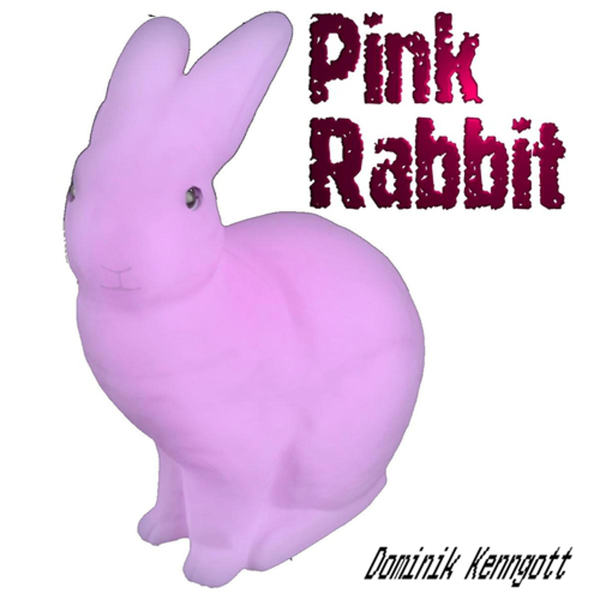Постер альбома Pink Rabbit