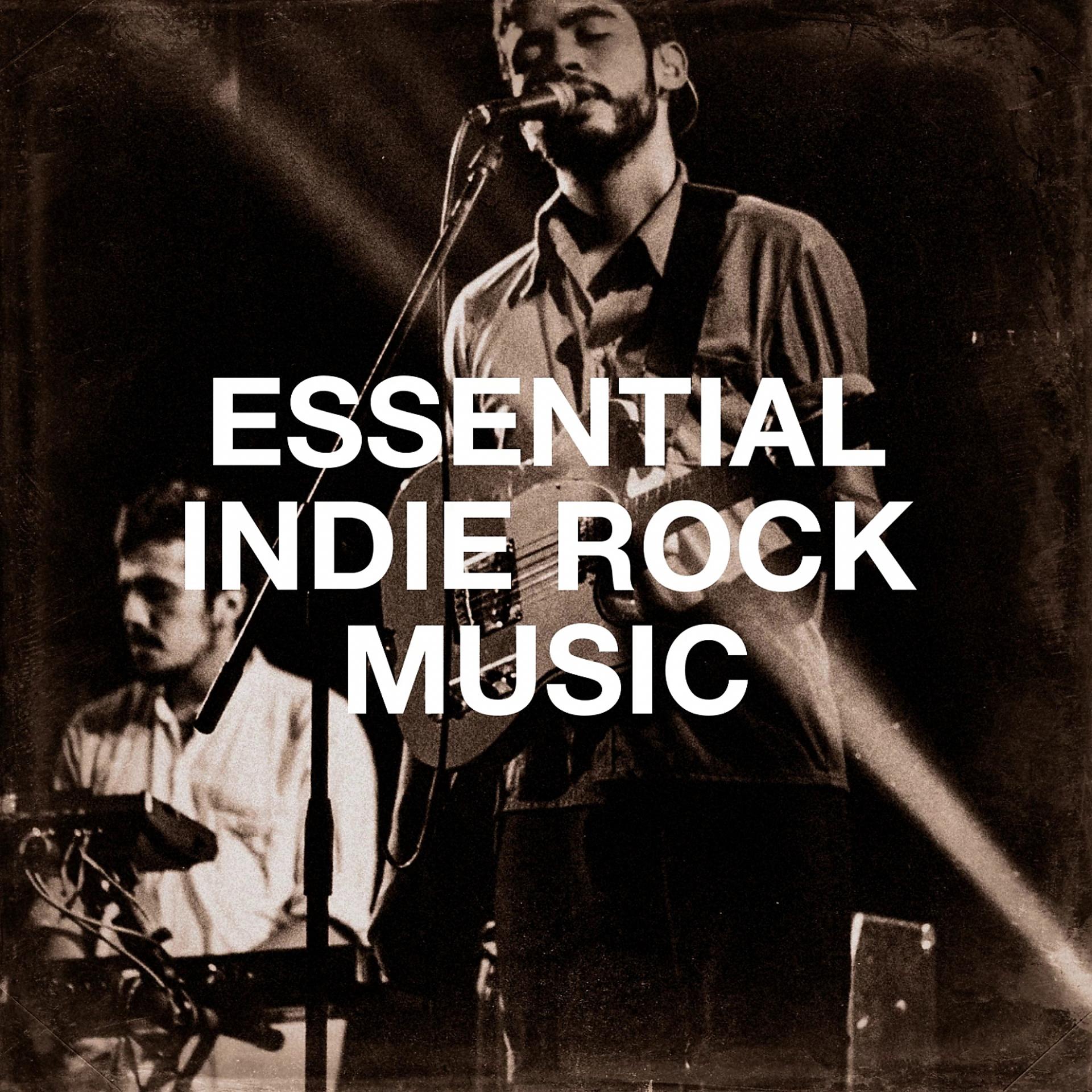 Постер альбома Essential Indie Rock Music