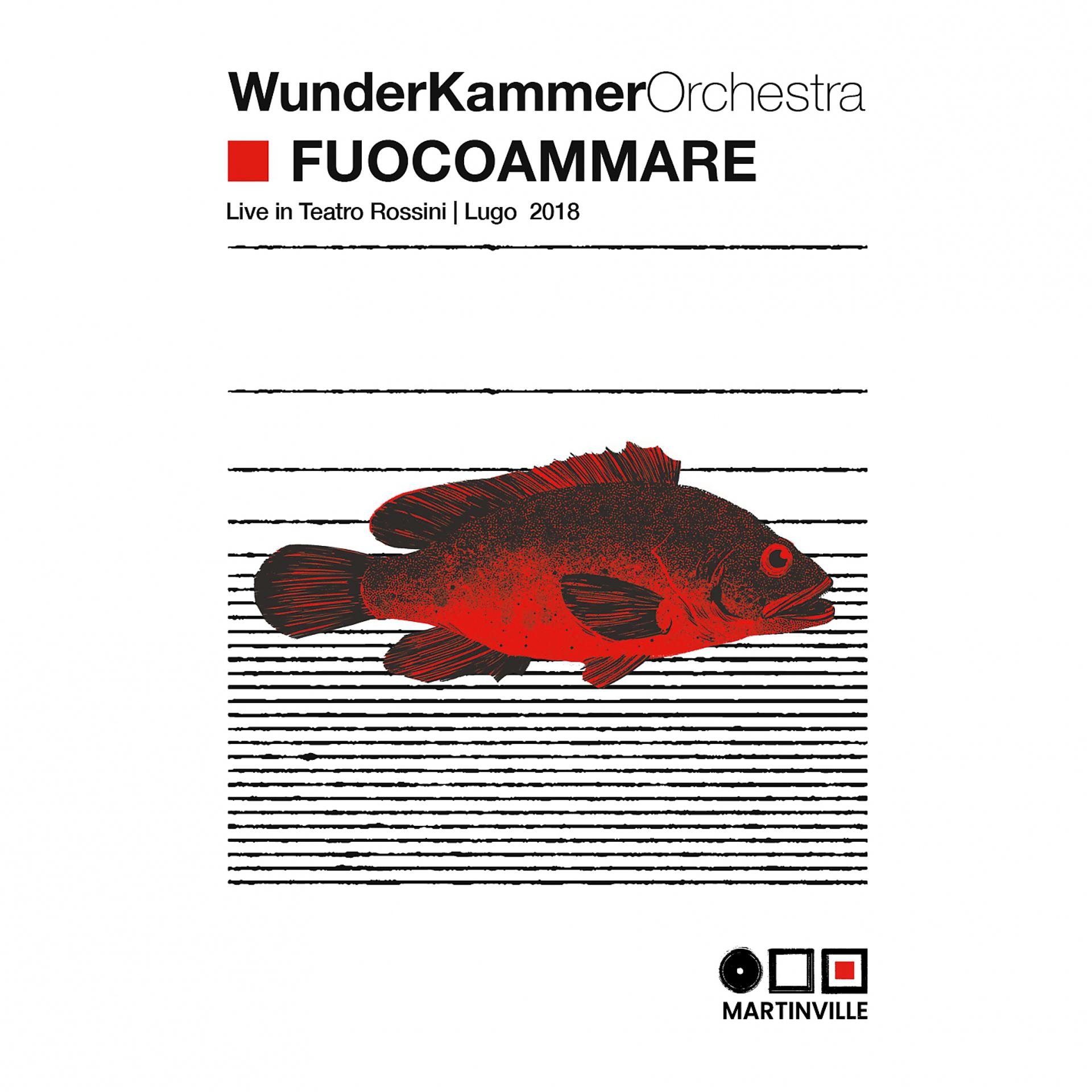 Постер альбома Fuocoammare