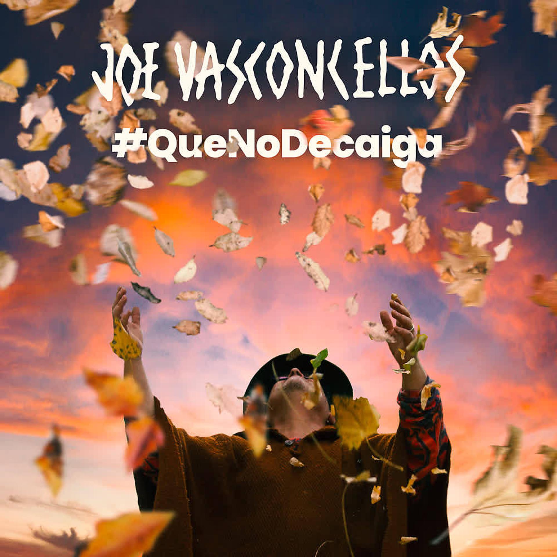 Постер альбома Que No Decaiga