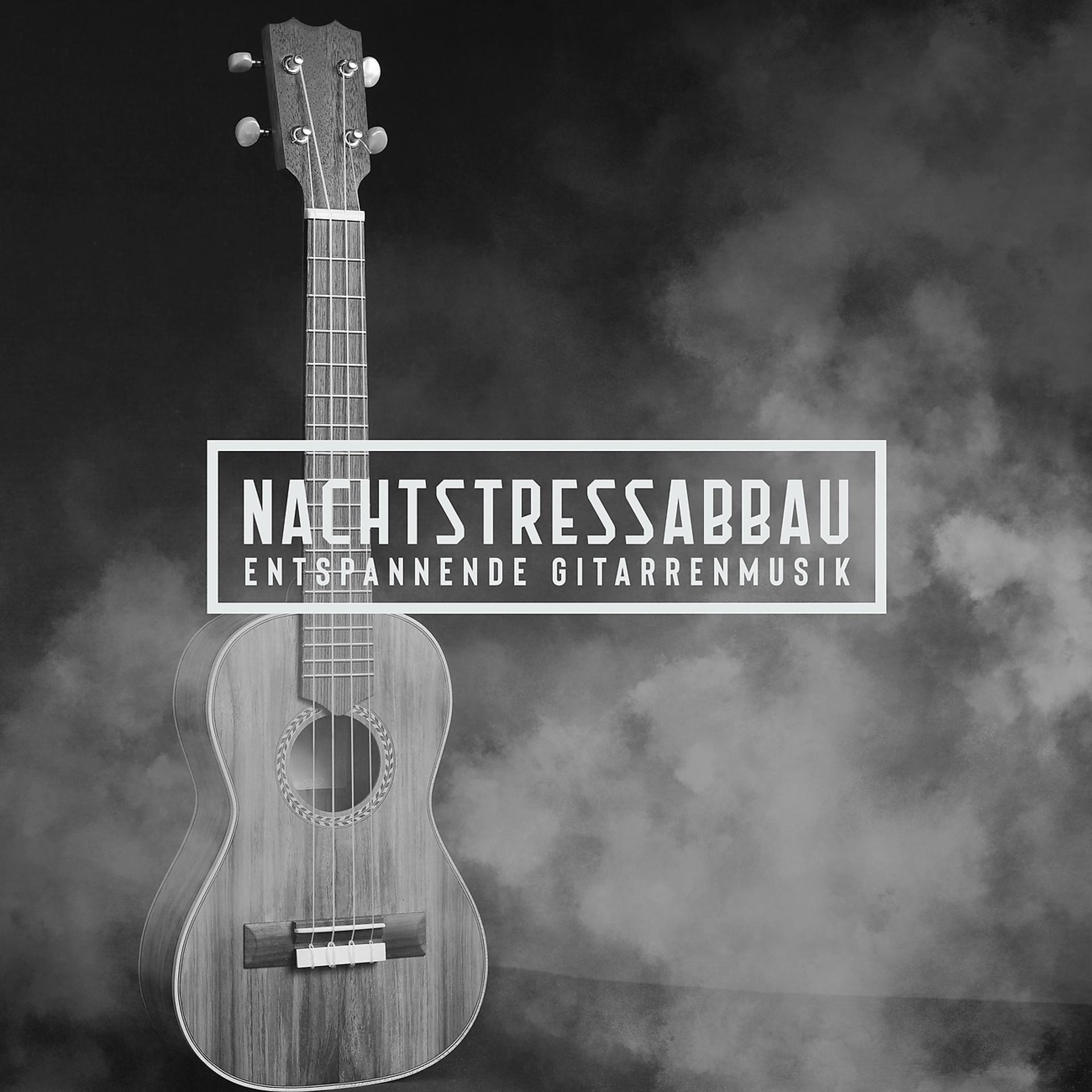 Постер альбома Nachtstressabbau