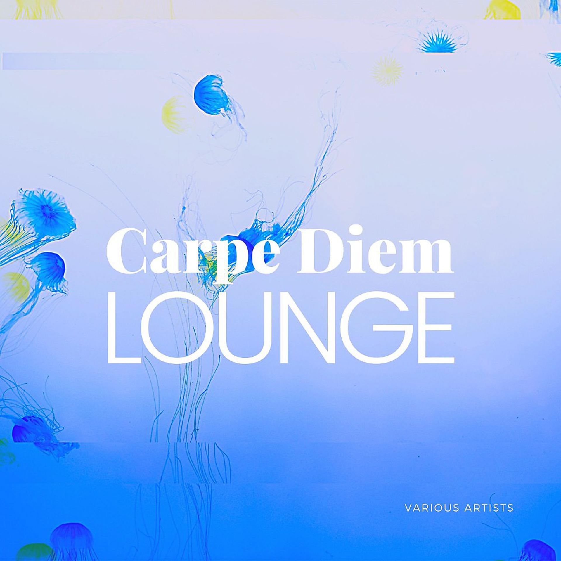 Постер альбома Carpe Diem Lounge