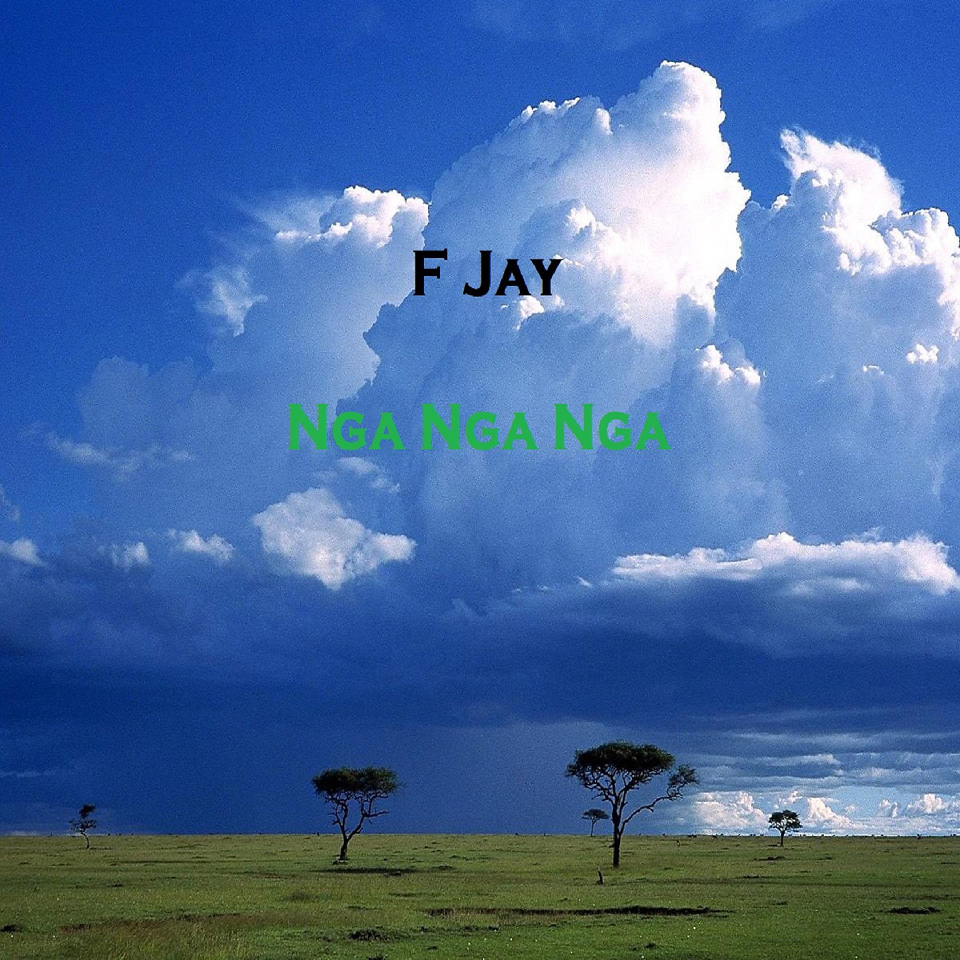 Постер альбома Nga Nga Nga