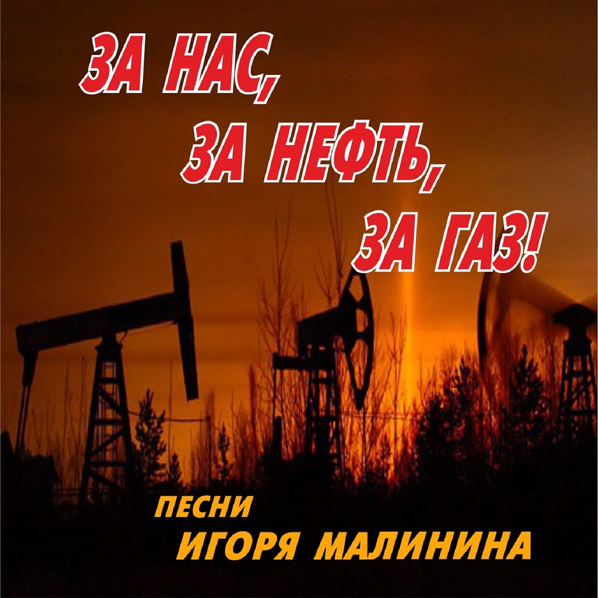 Постер альбома За нас, за нефть, за газ!