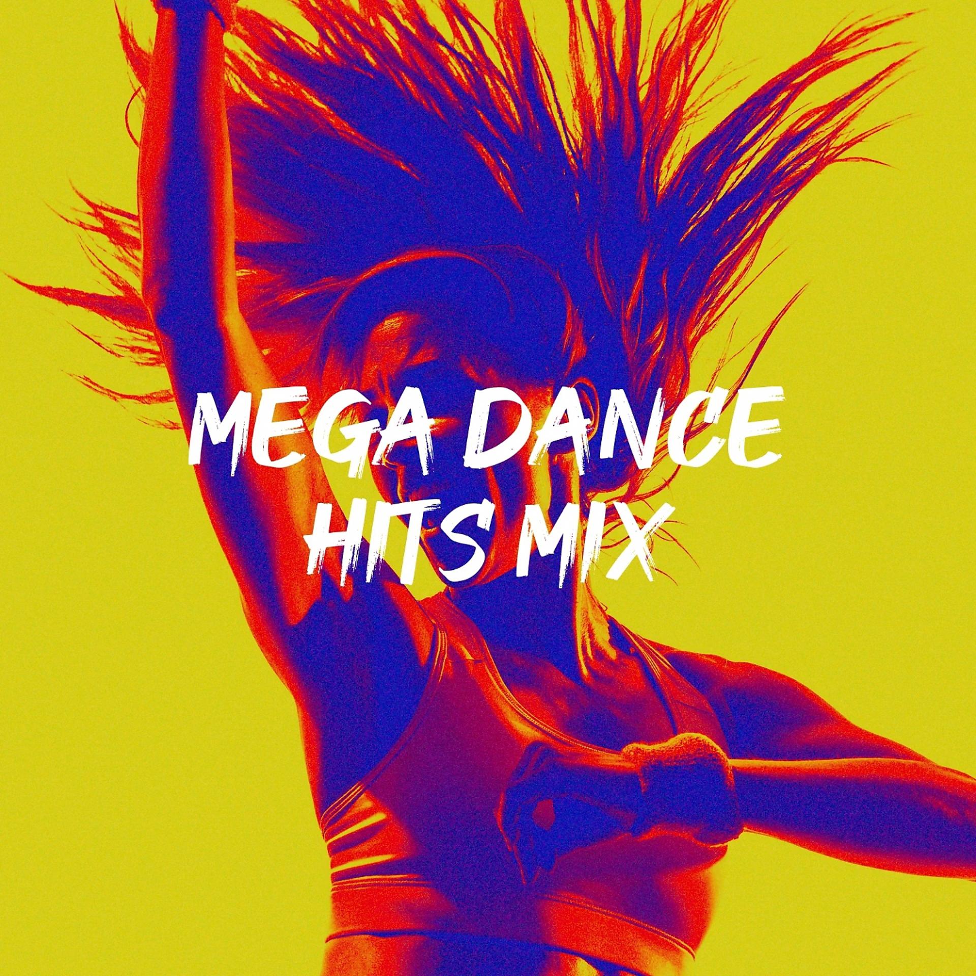 Постер альбома Mega Dance Hits Mix