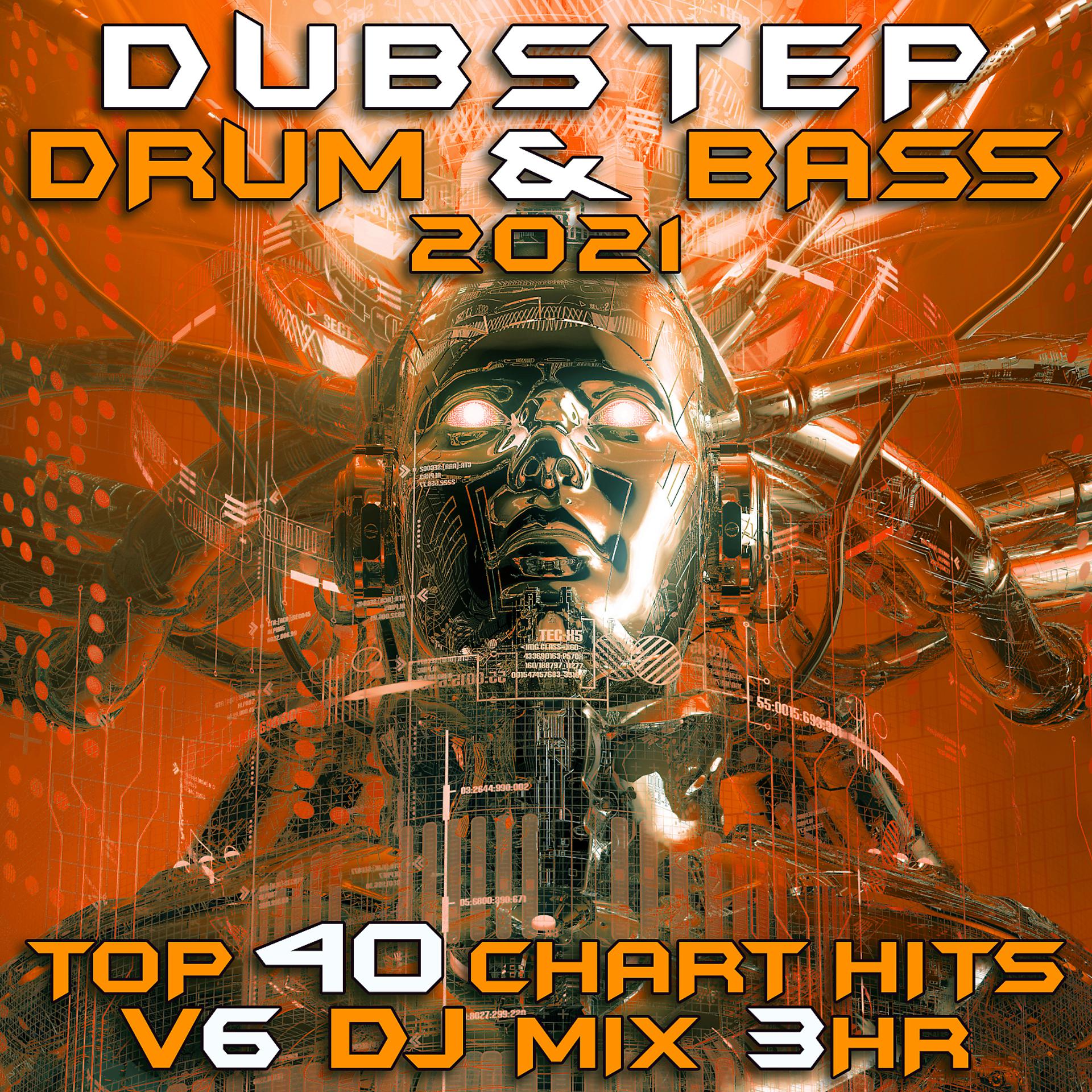 Постер альбома Dubstep Drum & Bass 2021 Top 40 Chart Hits, Vol. 6 DJ Mix 3Hr