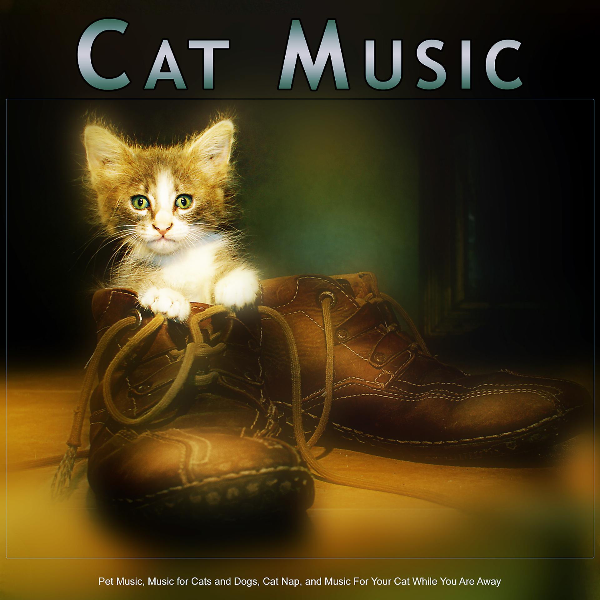 Постер альбома Cat Music: Pet Music, Music for Cats and Dogs, Cat Nap, and Music For Your Cat While You Are Away