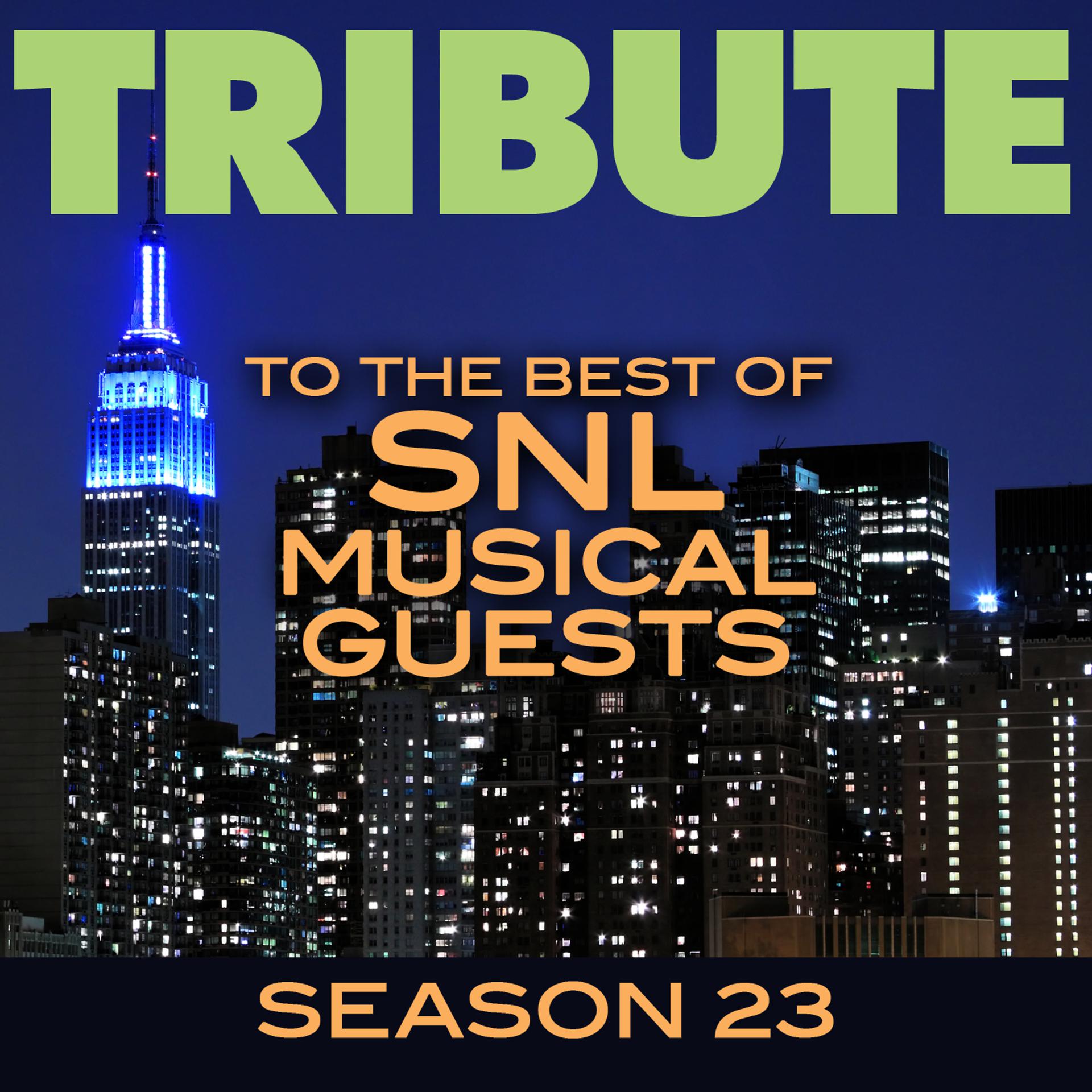 Постер альбома Tribute to the Best of SNL Musical Guests Season 23