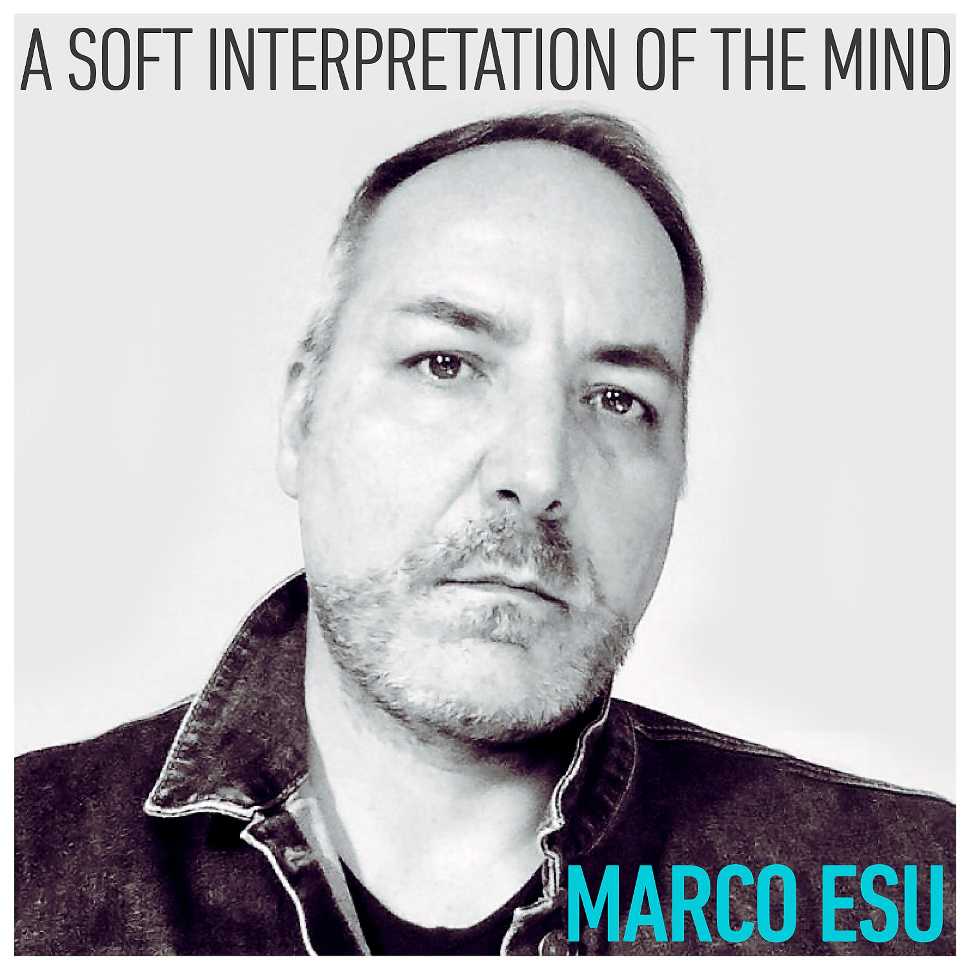 Постер альбома A Soft Interpretation Of The Mind
