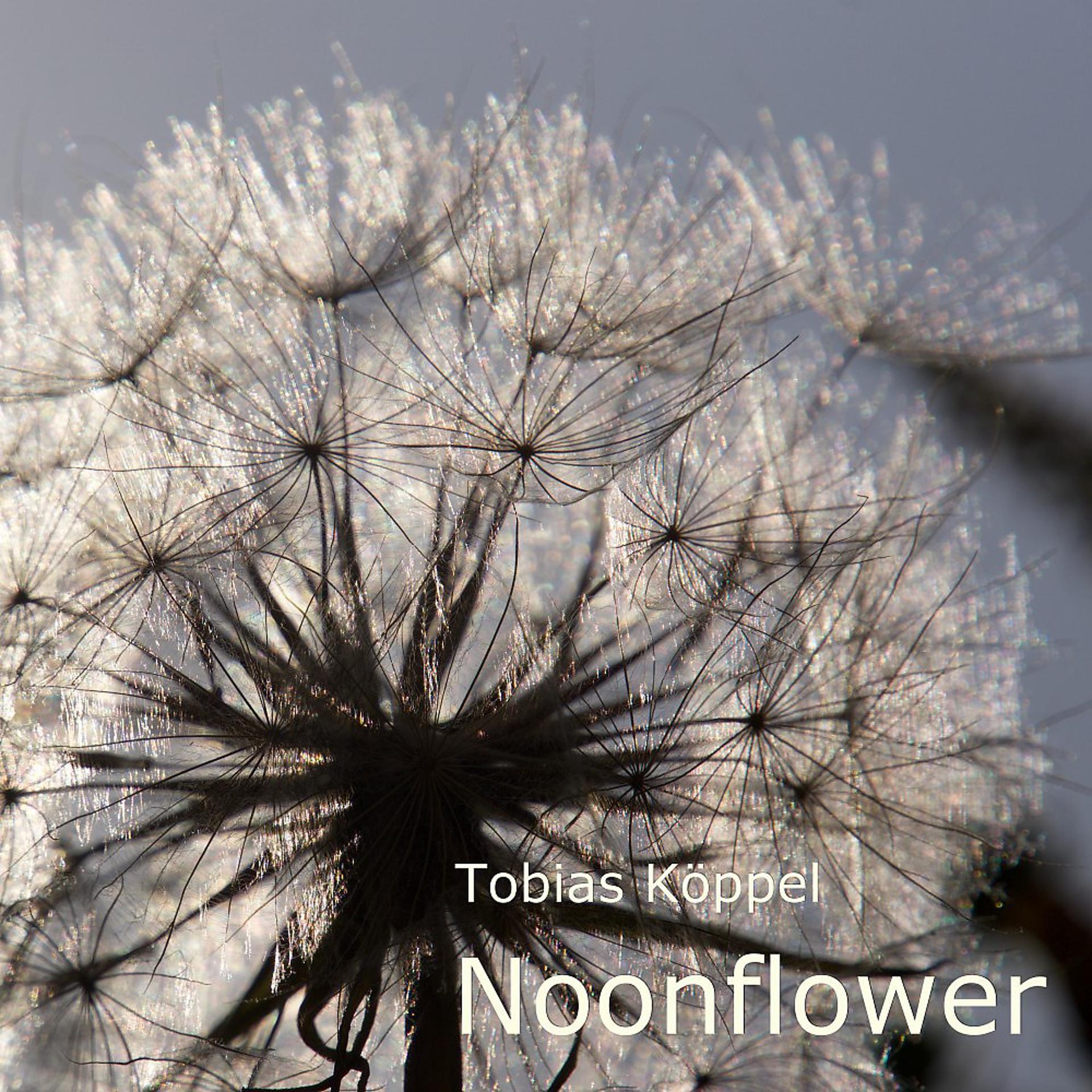 Постер альбома Noonflower