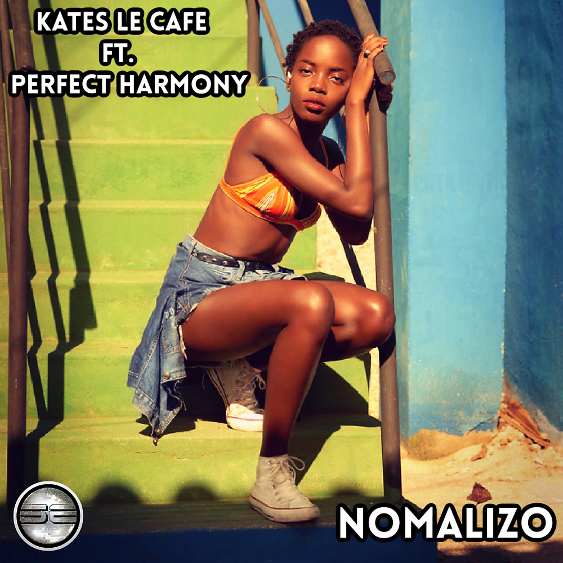 Постер альбома Nomalizo