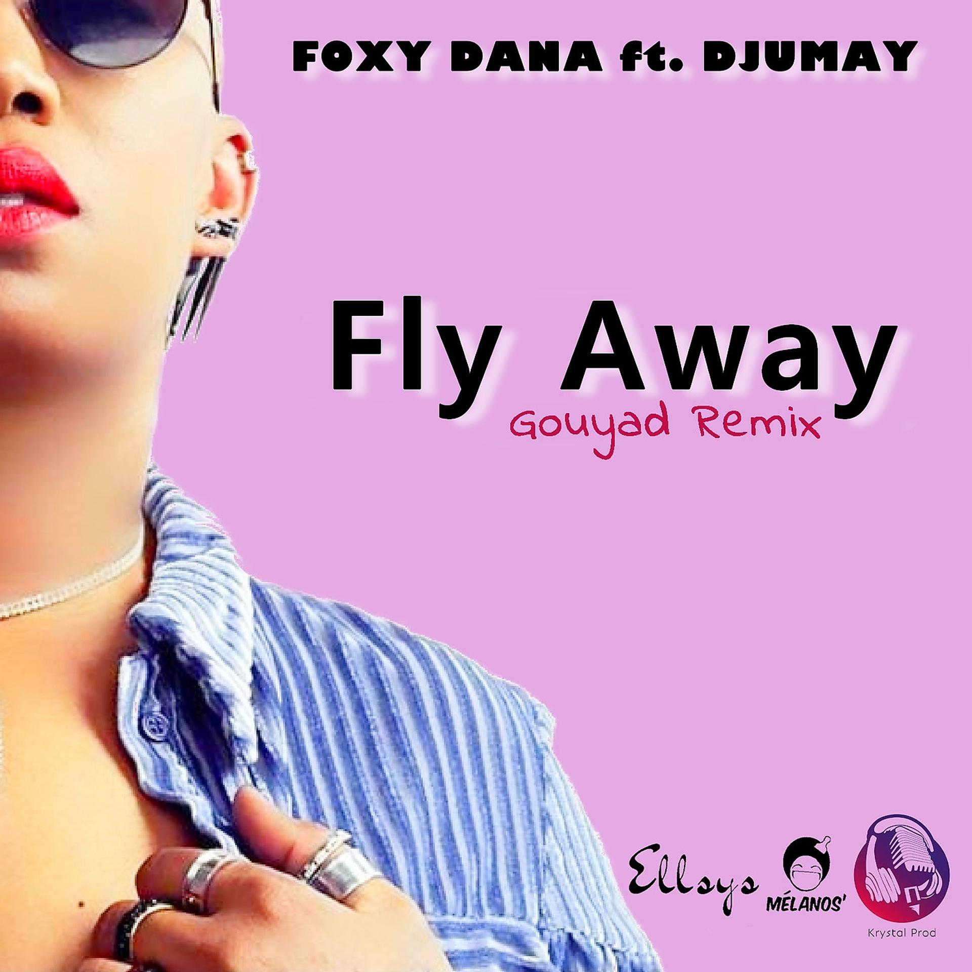 Постер альбома Fly Away (Gouyad Rmx)