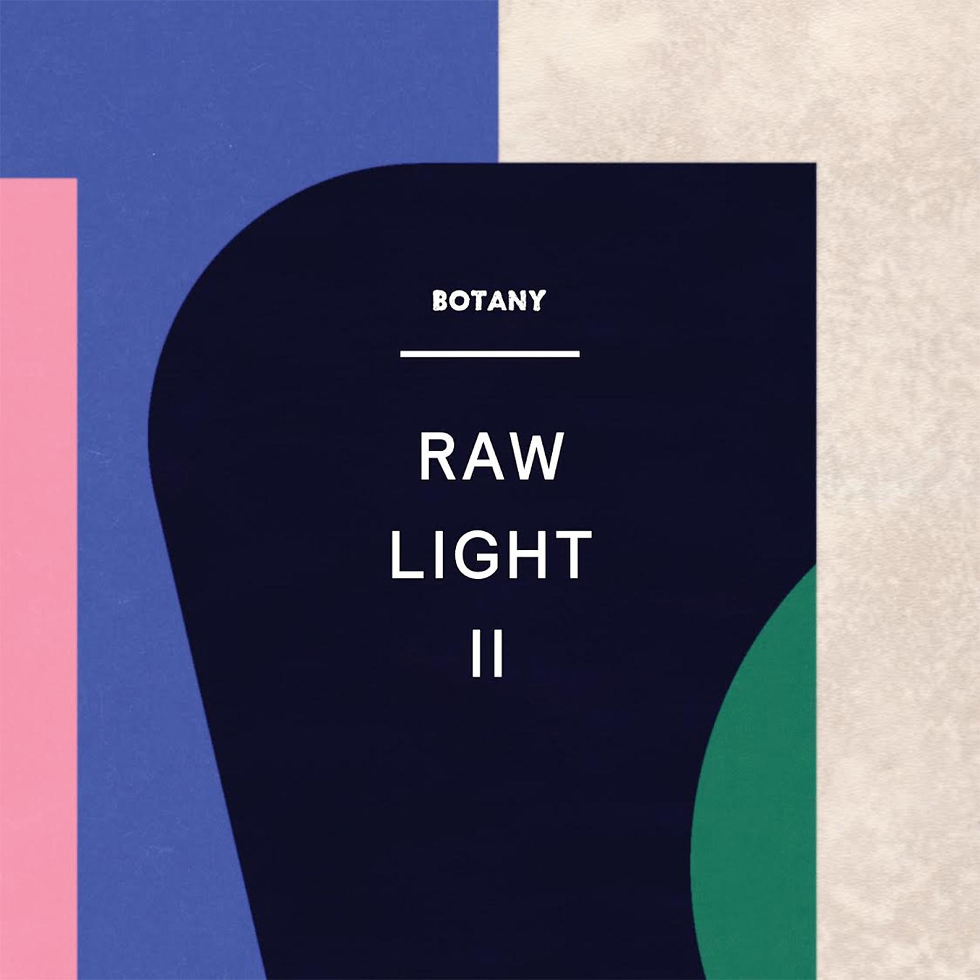 Постер альбома Raw Light II