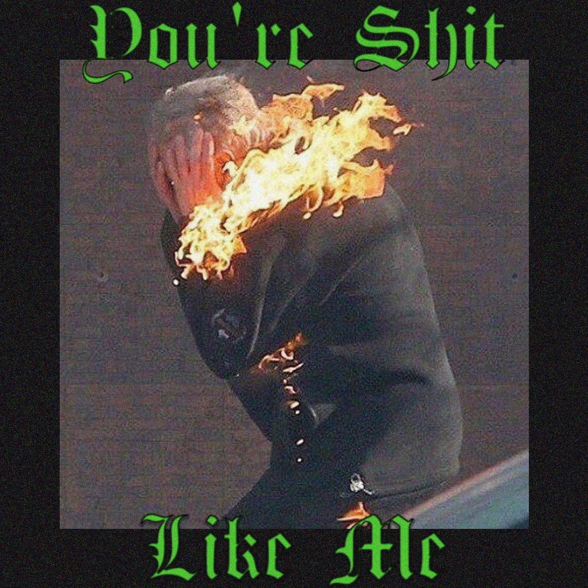 Постер альбома You're Shit Like Me
