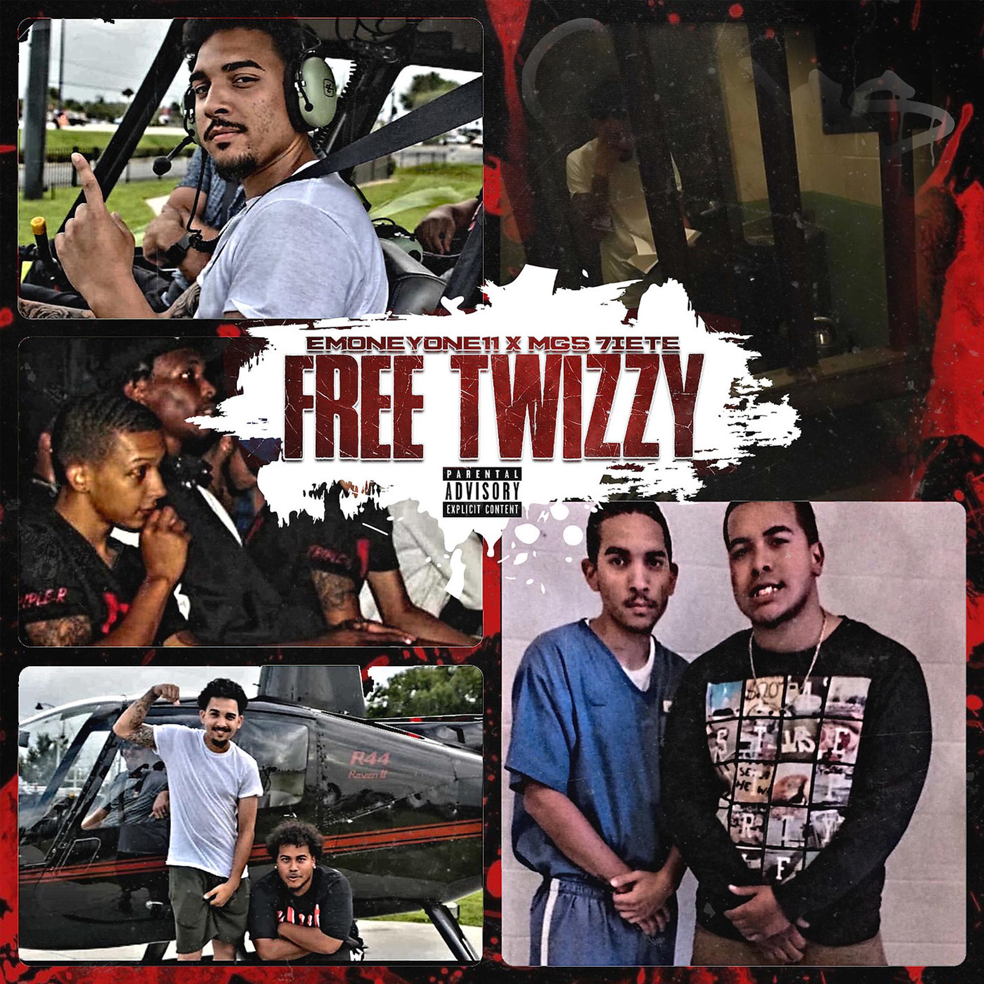 Постер альбома Free Twizzy
