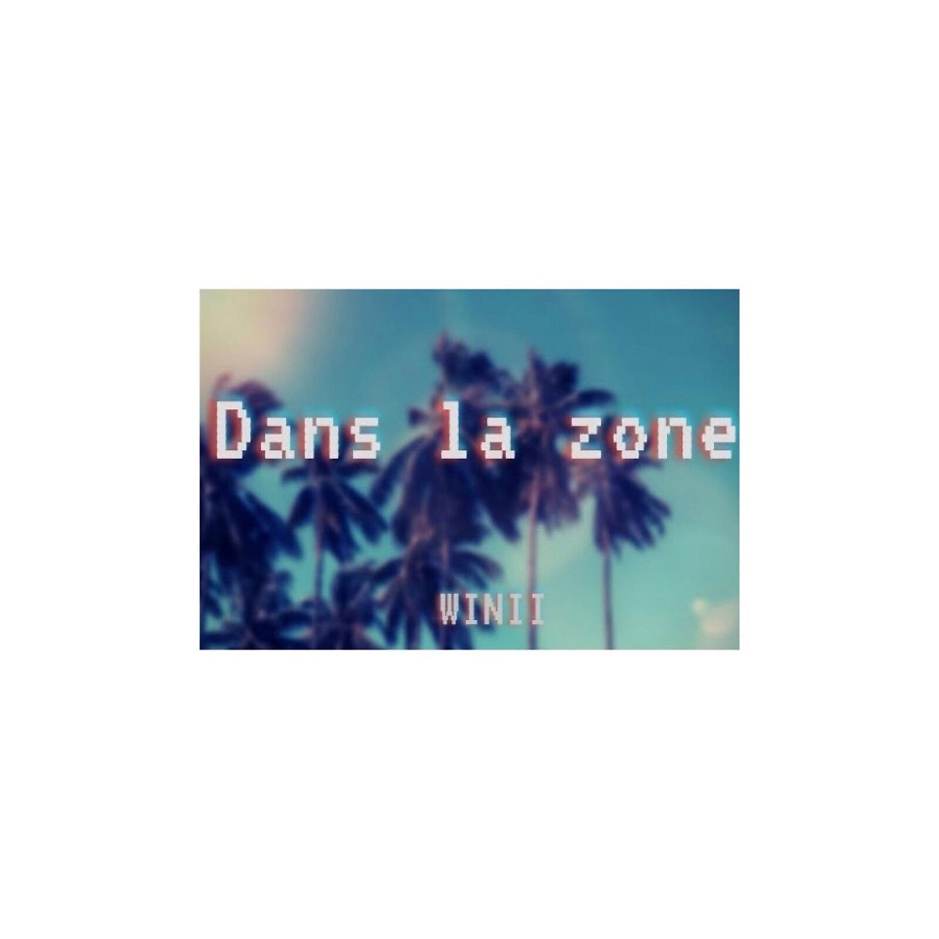 Постер альбома Dans la Zone