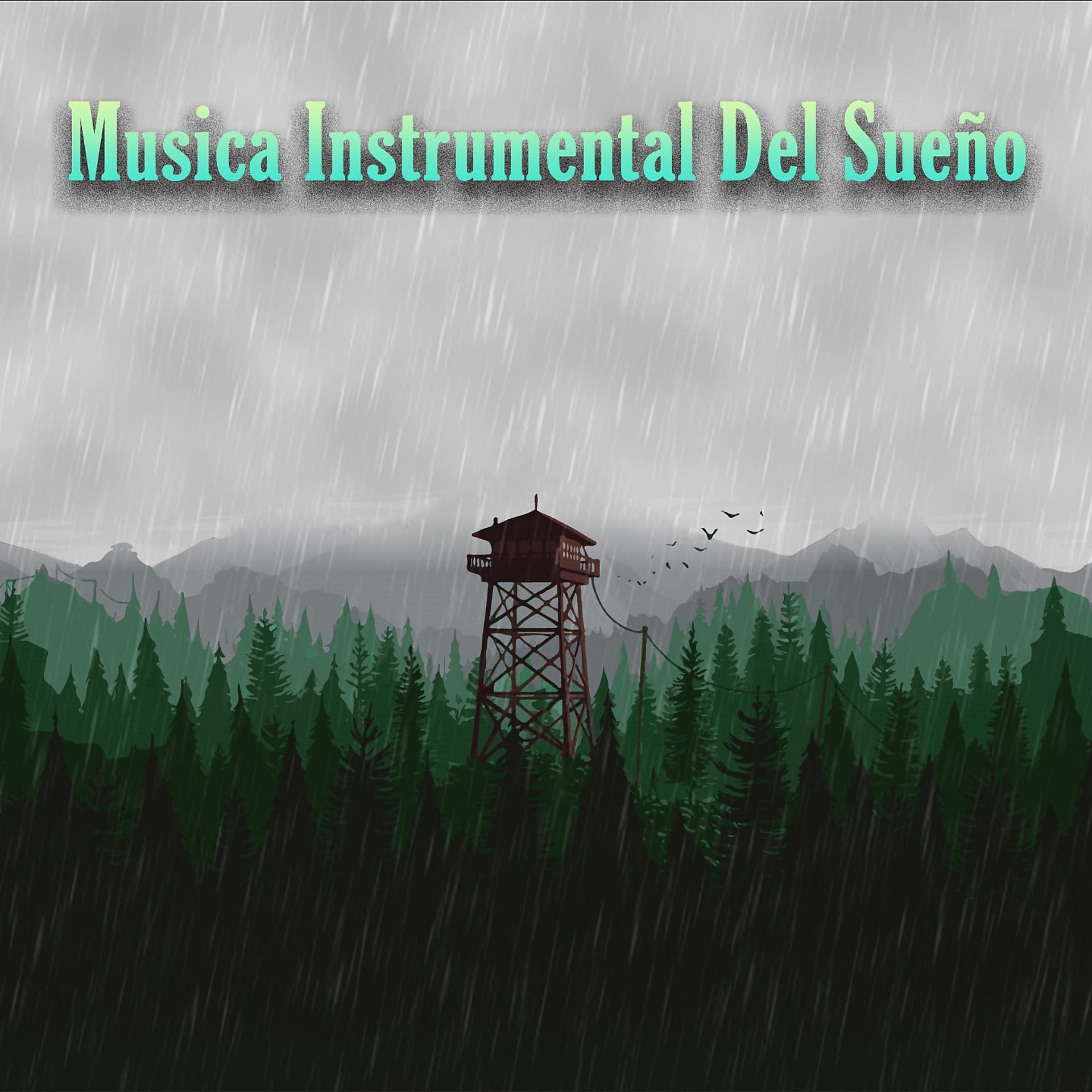 Постер альбома Musica Instrumental Del Sueño