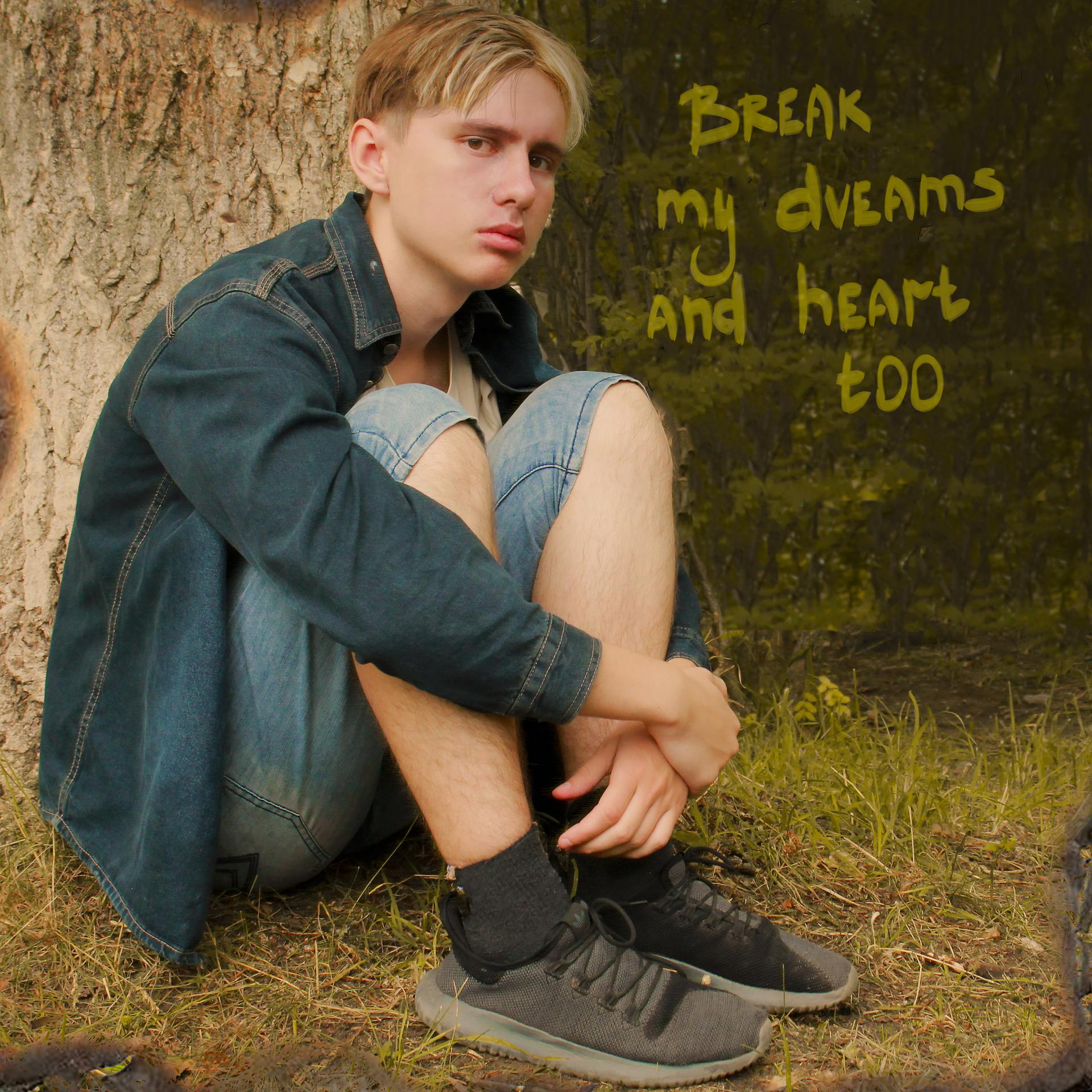 Постер альбома Break My Dreams (And Heart Too)