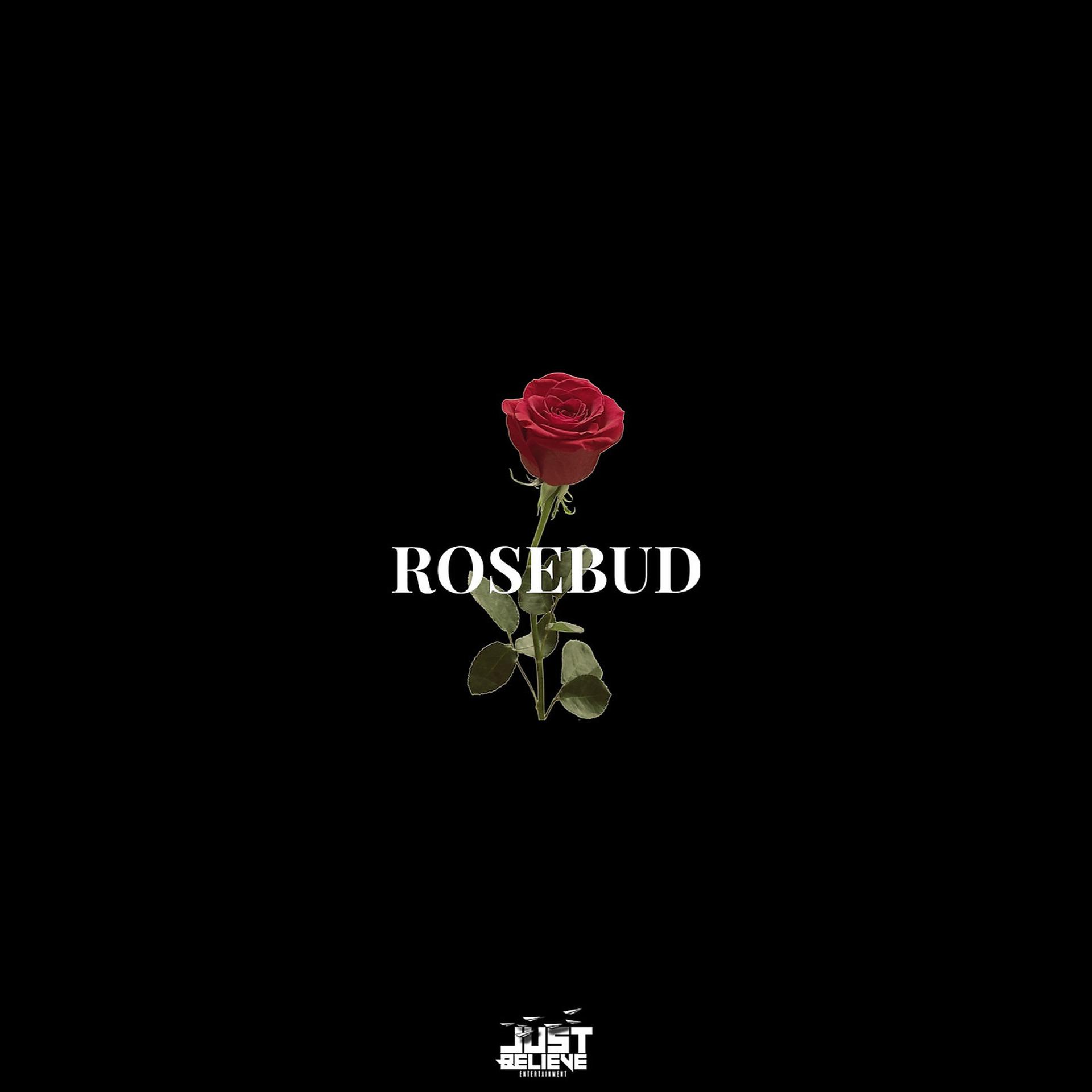 Постер альбома Rosebud