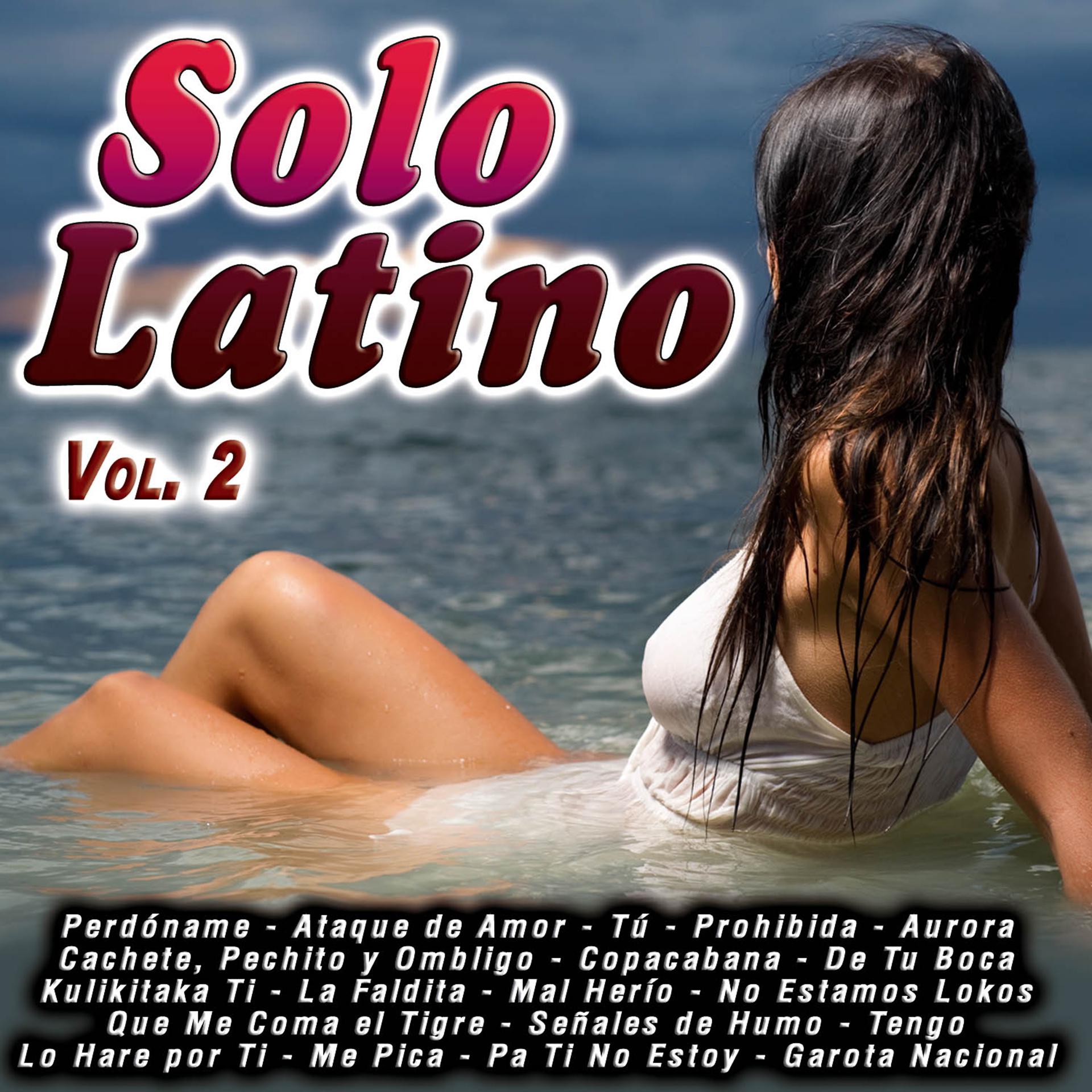 Постер альбома Solo Latino Vol.2