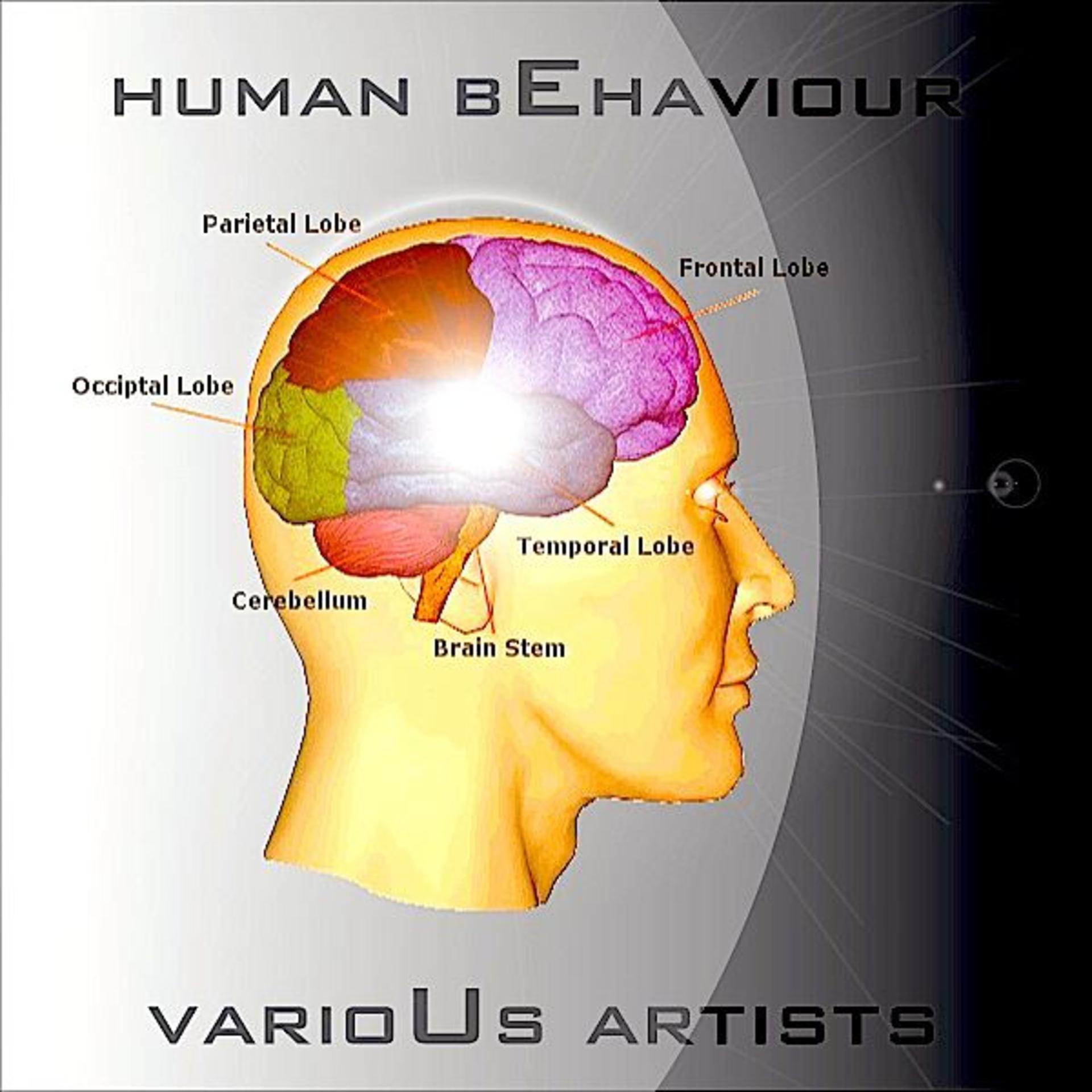 Постер альбома Human Behaviour