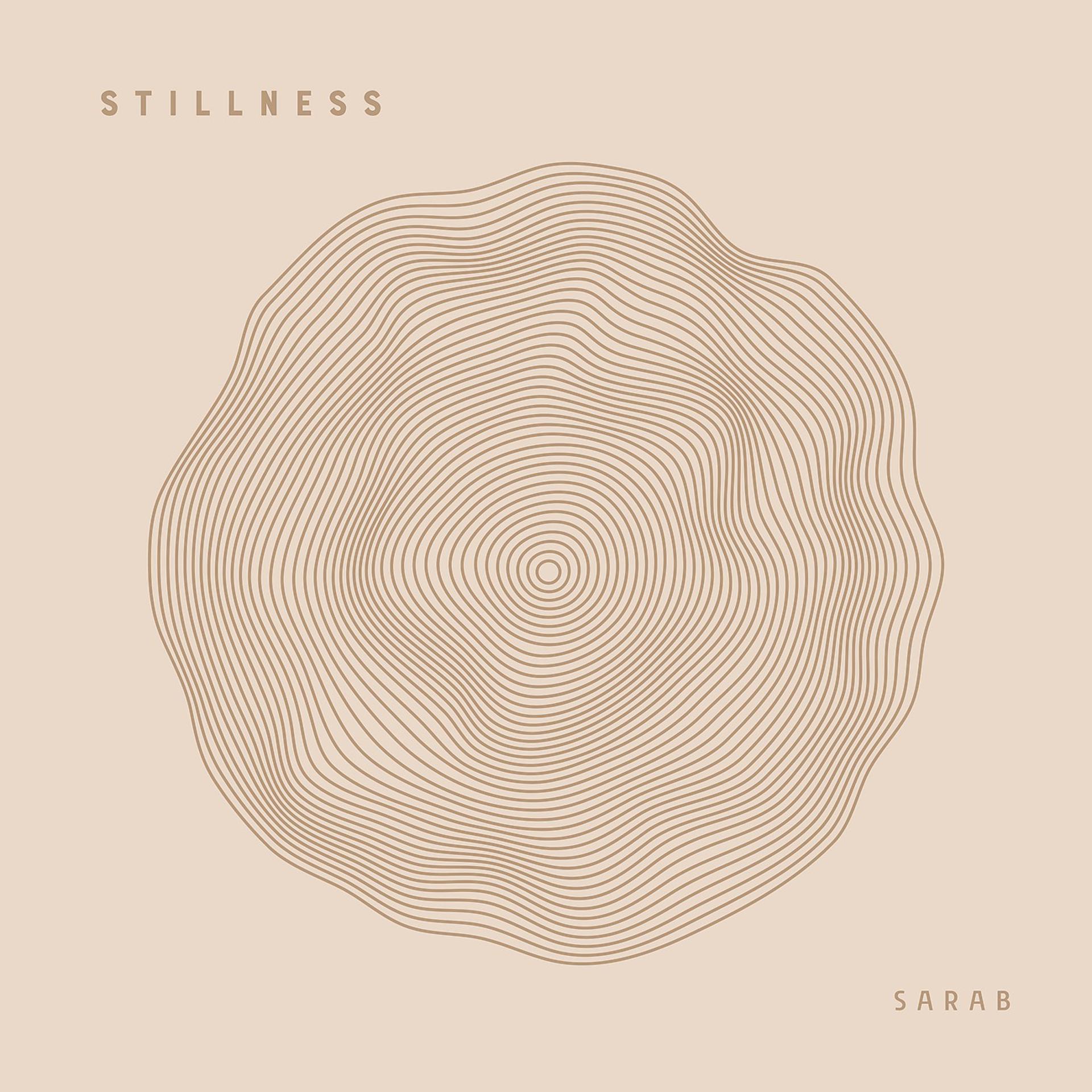 Постер альбома Stillness