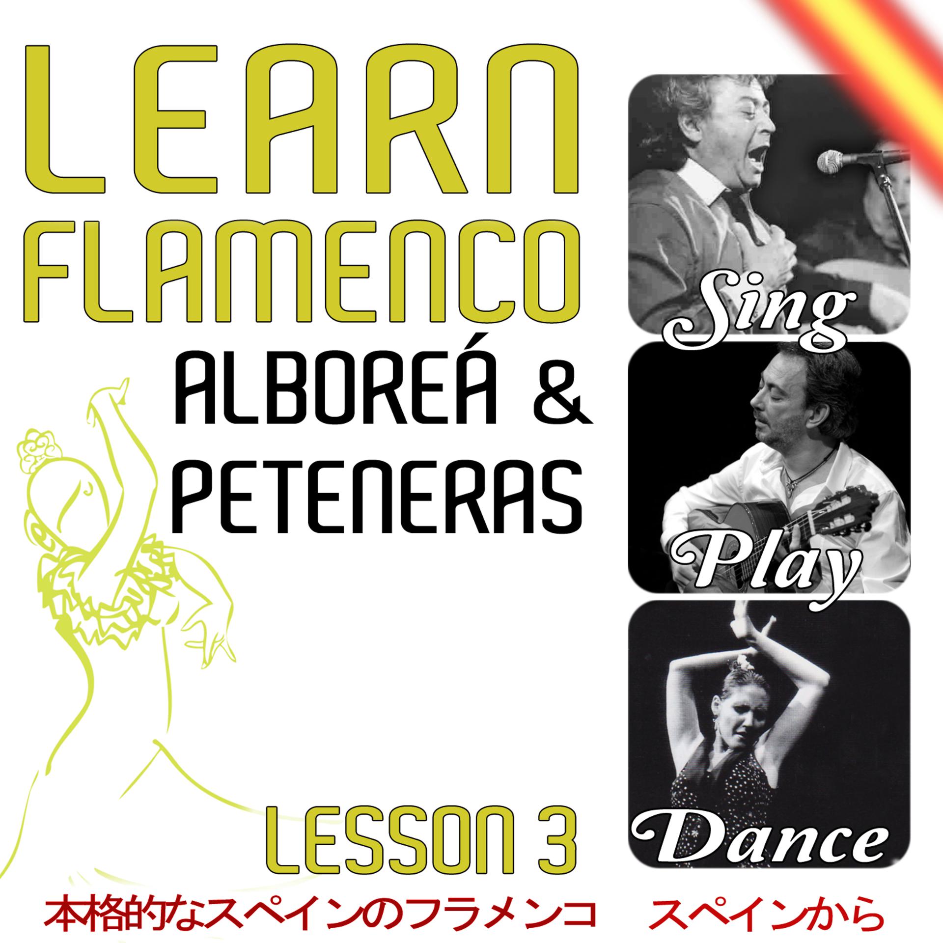 Постер альбома Learn Flamenco. Sing, Play And Dance Alboreá And Peteneras. Lesson 3