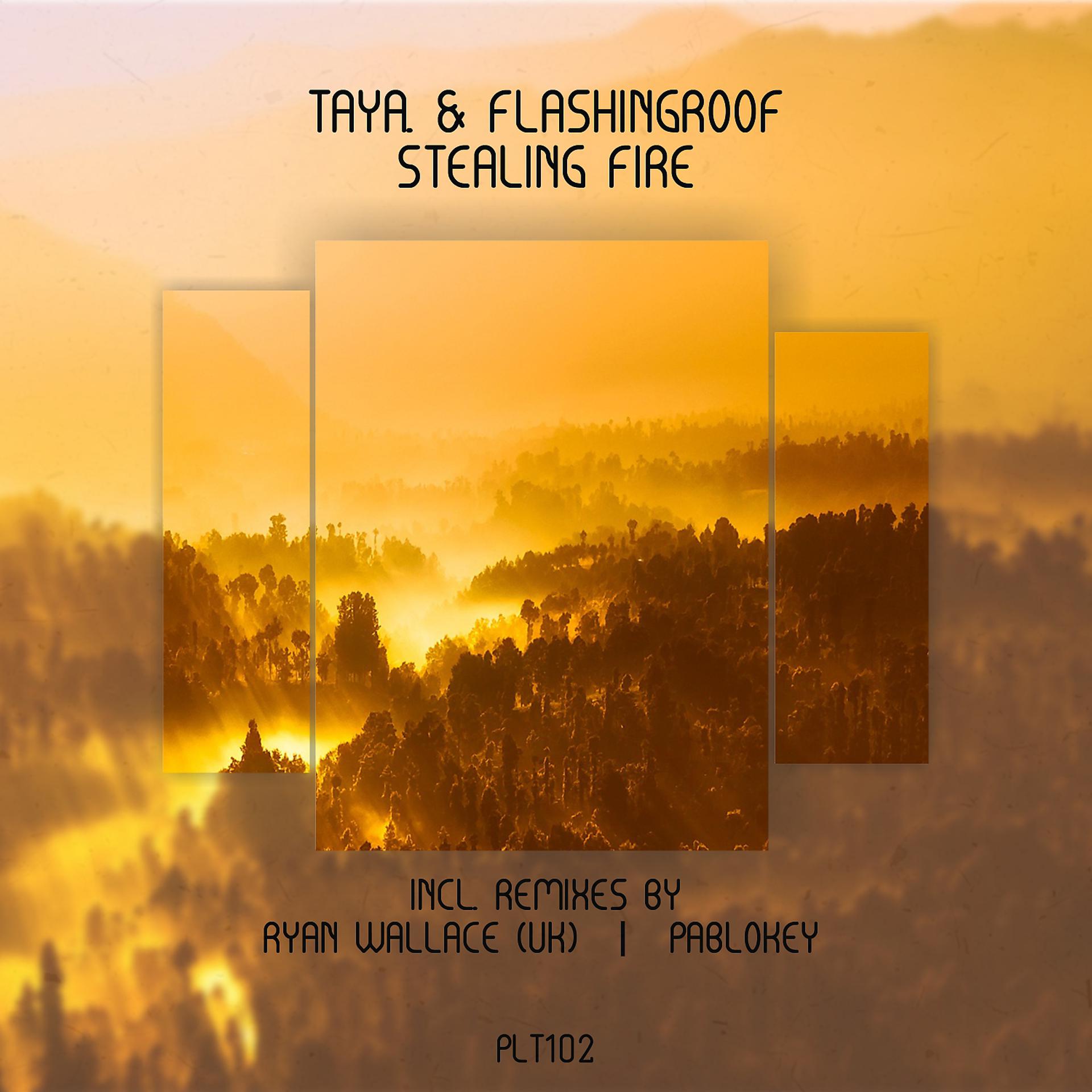 Постер альбома Stealing Fire