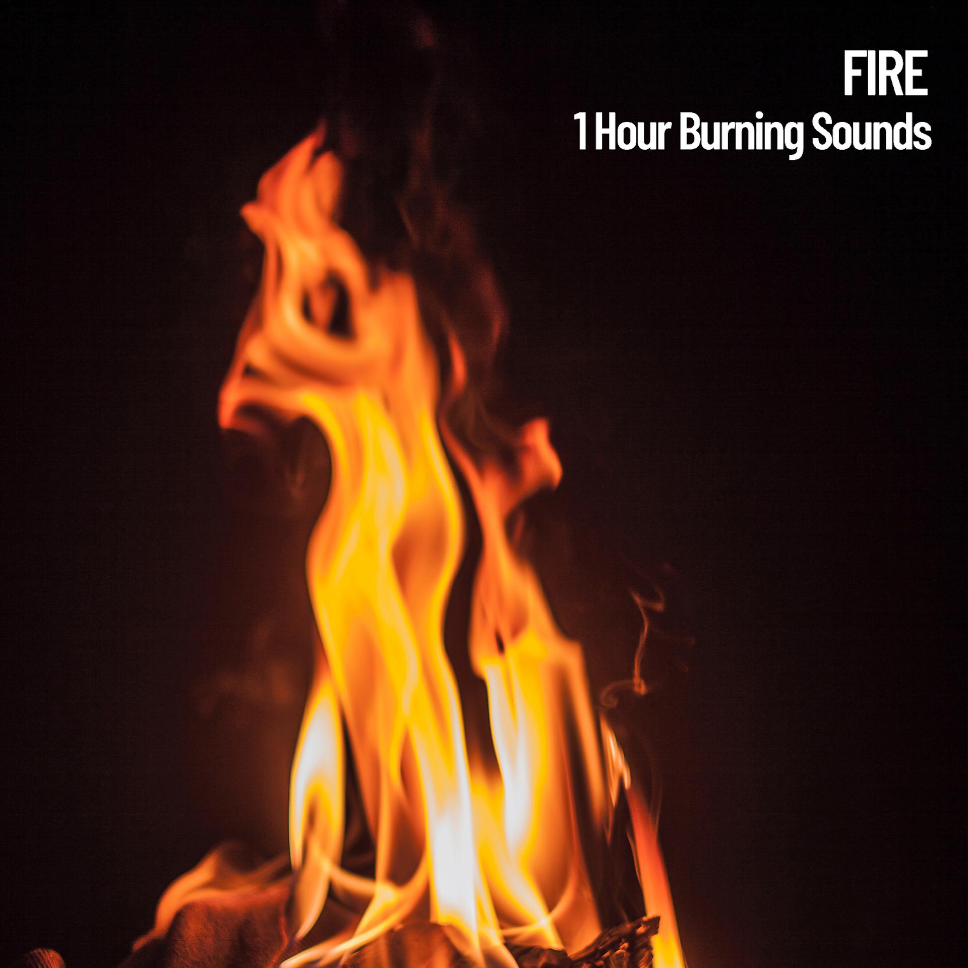 Постер альбома Fire: 1 Hour Burning Sounds