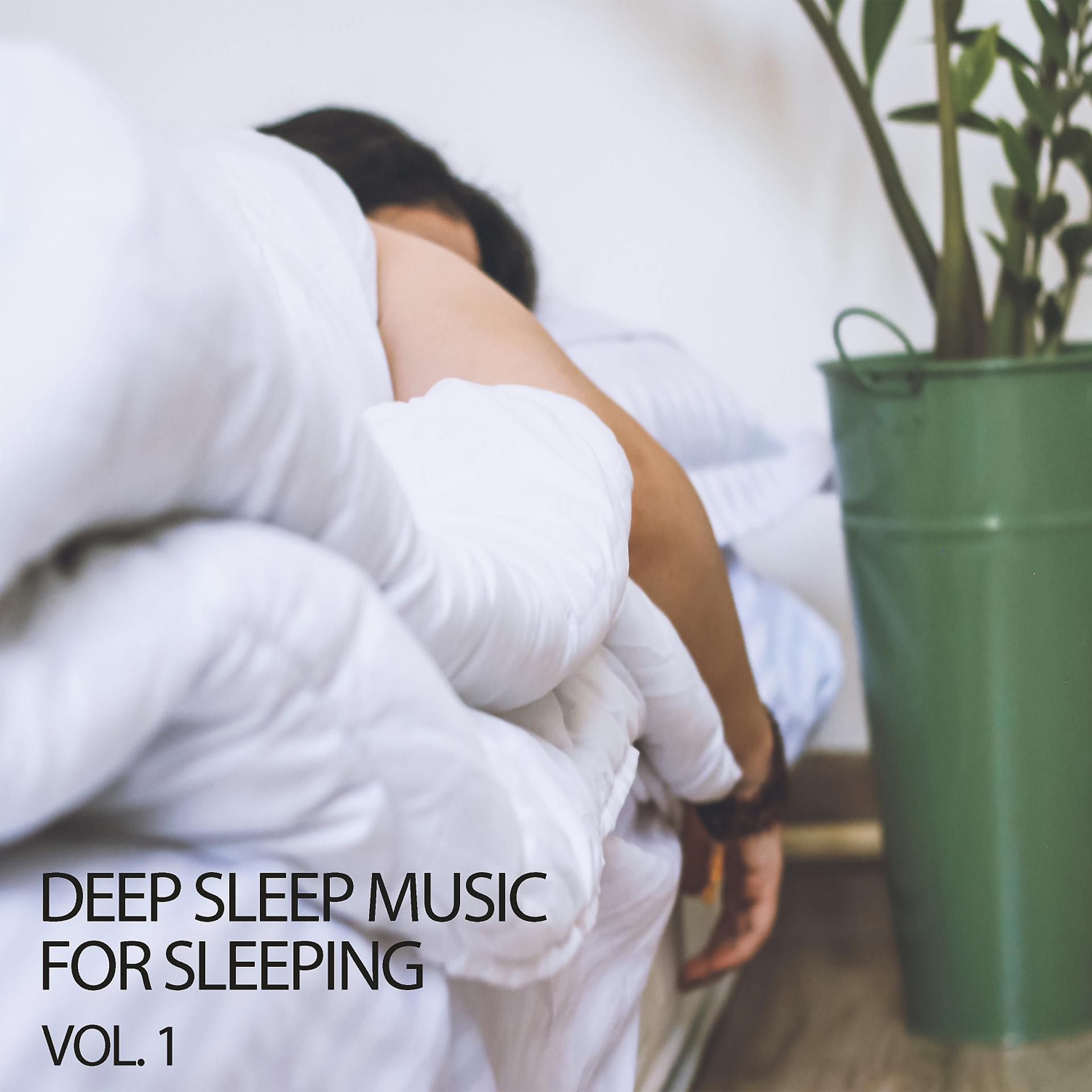 Постер альбома Deep Sleep Music For Sleeping Vol. 1