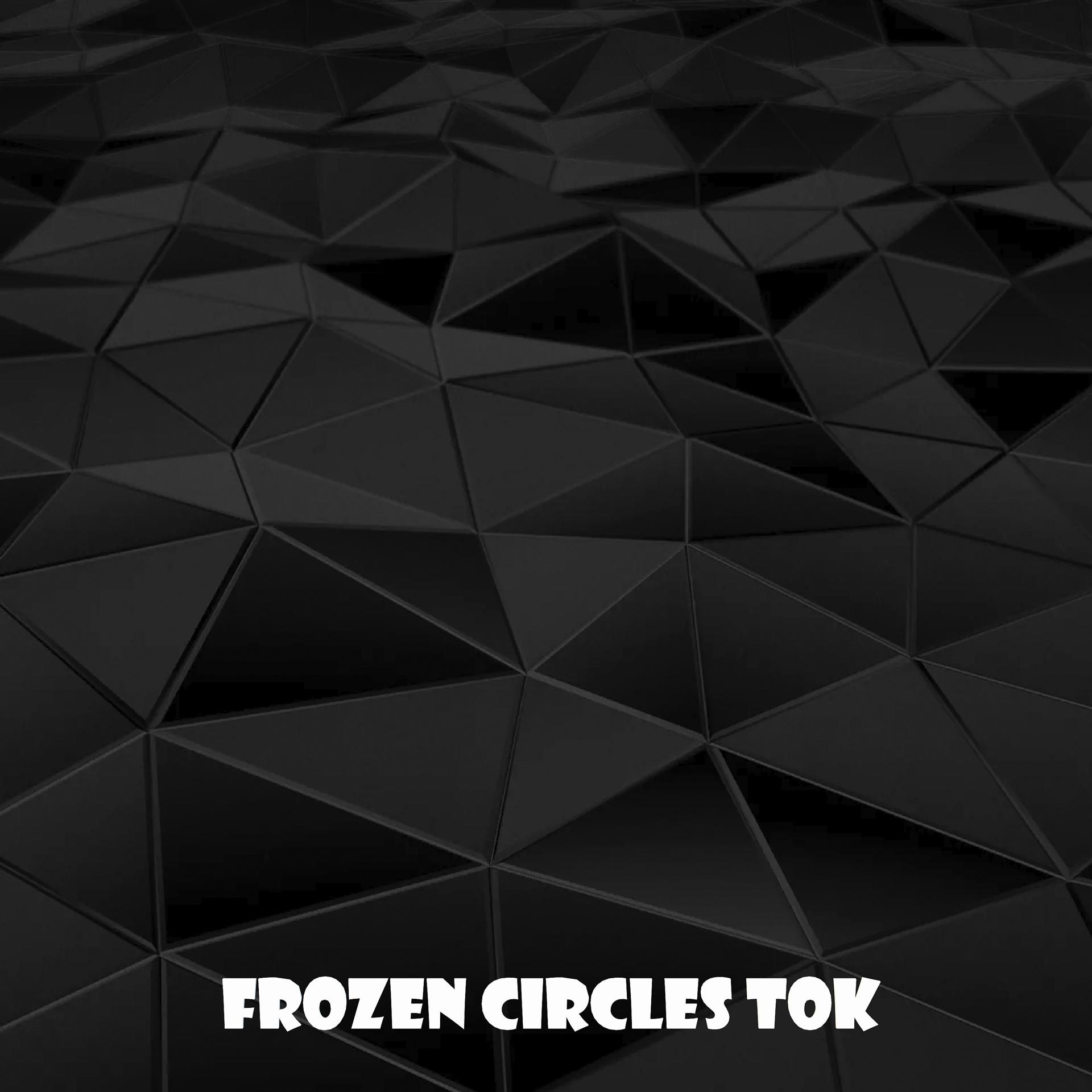 Постер альбома Frozen Circles Tok