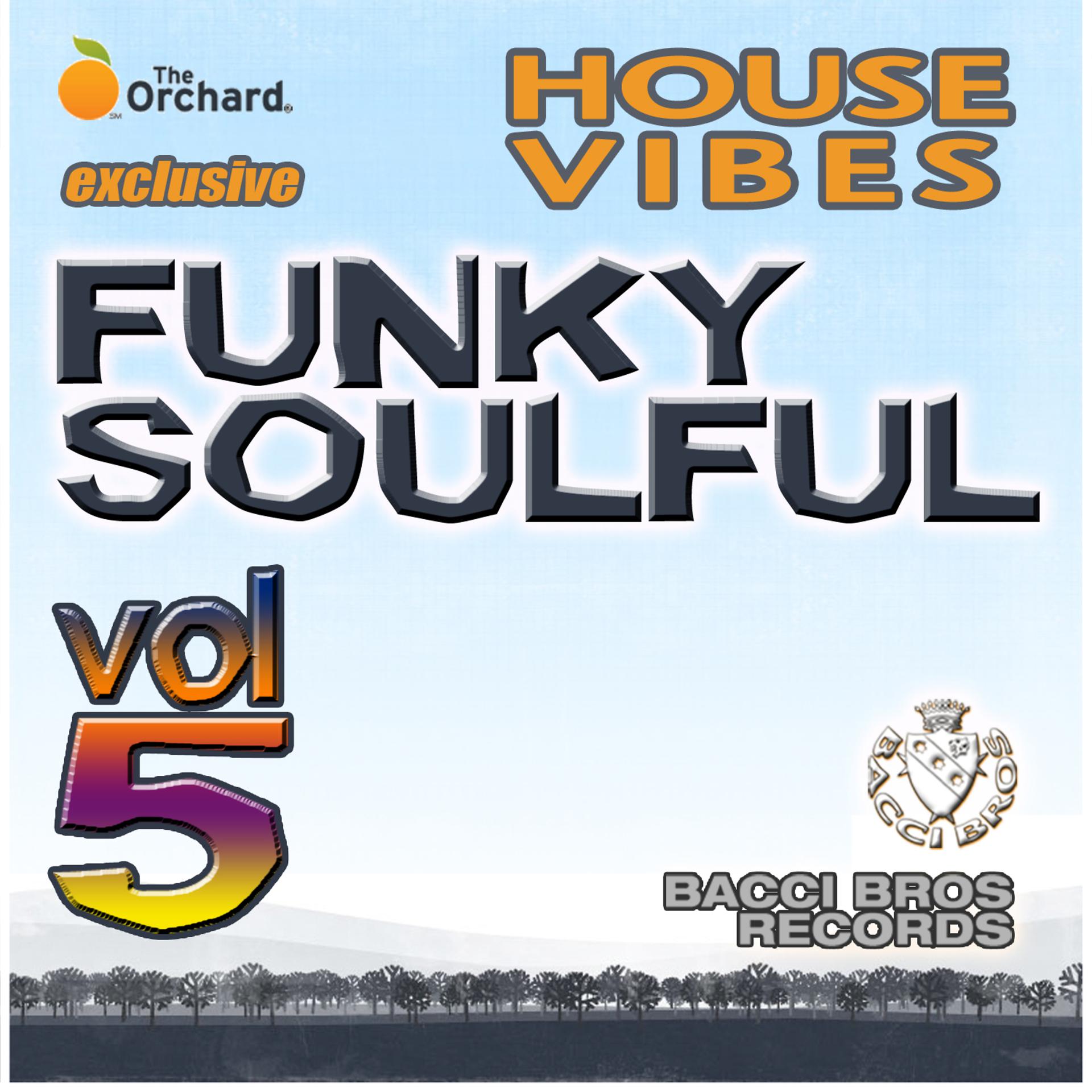 Постер альбома House Vibes Funky Soulful Vol. 5